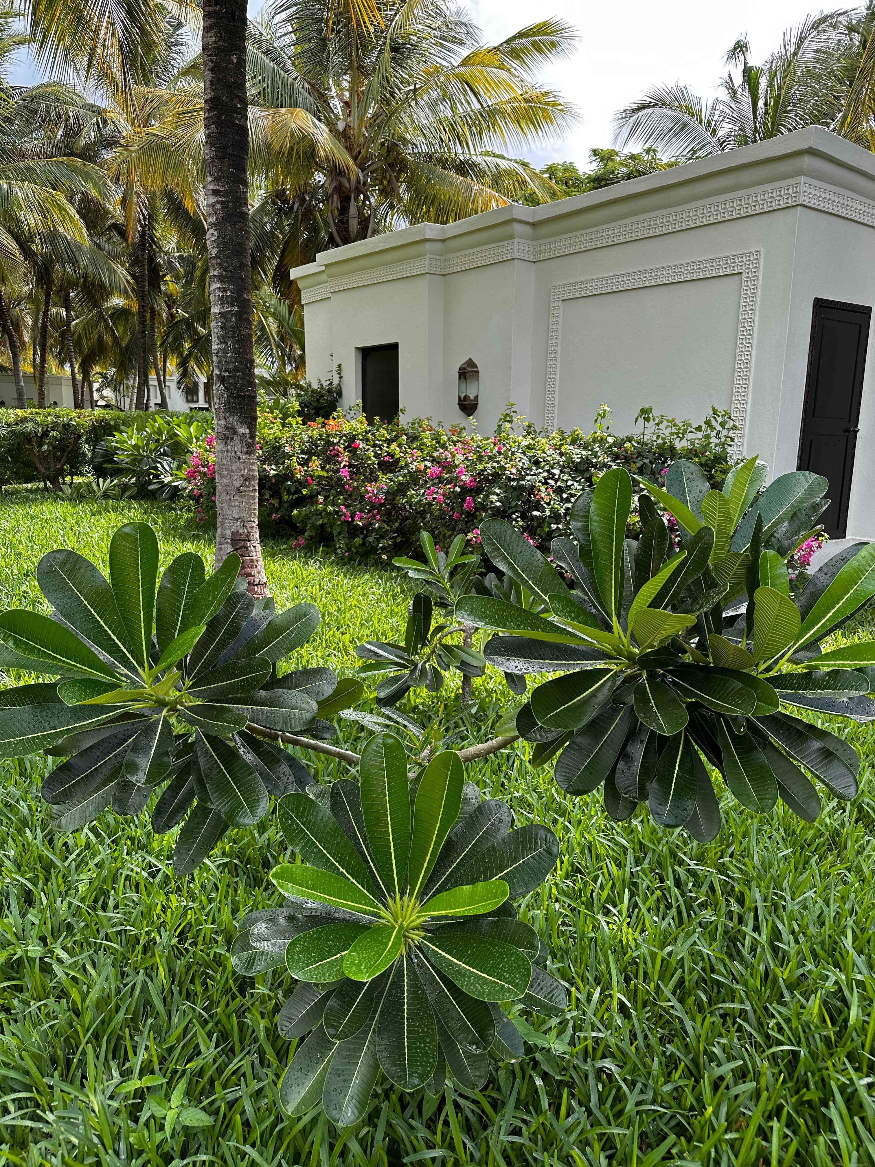 Baraza Resort & Spa