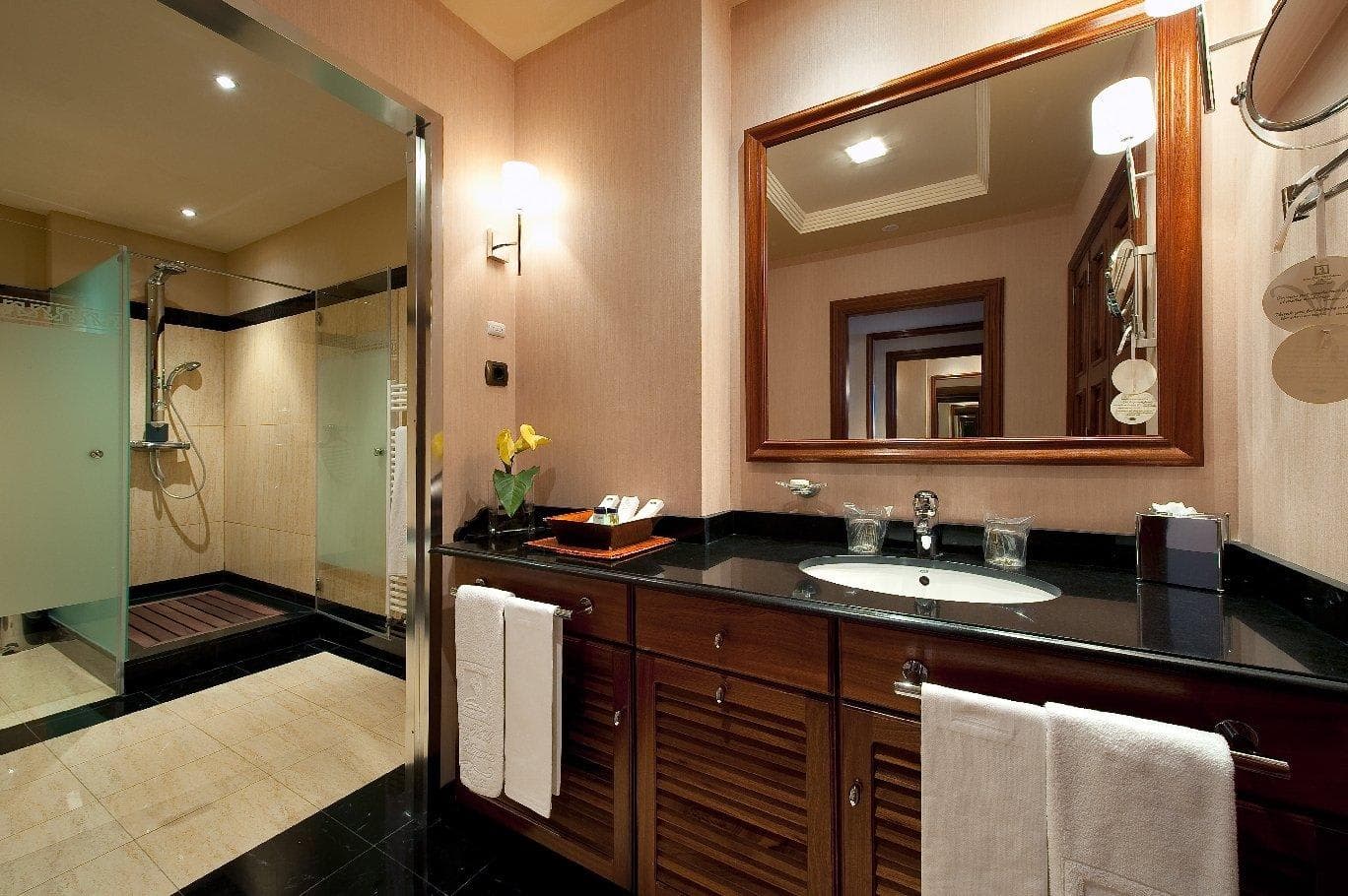 Gran Hotel Elba Estepona & Thalasso Spa Ansicht 6