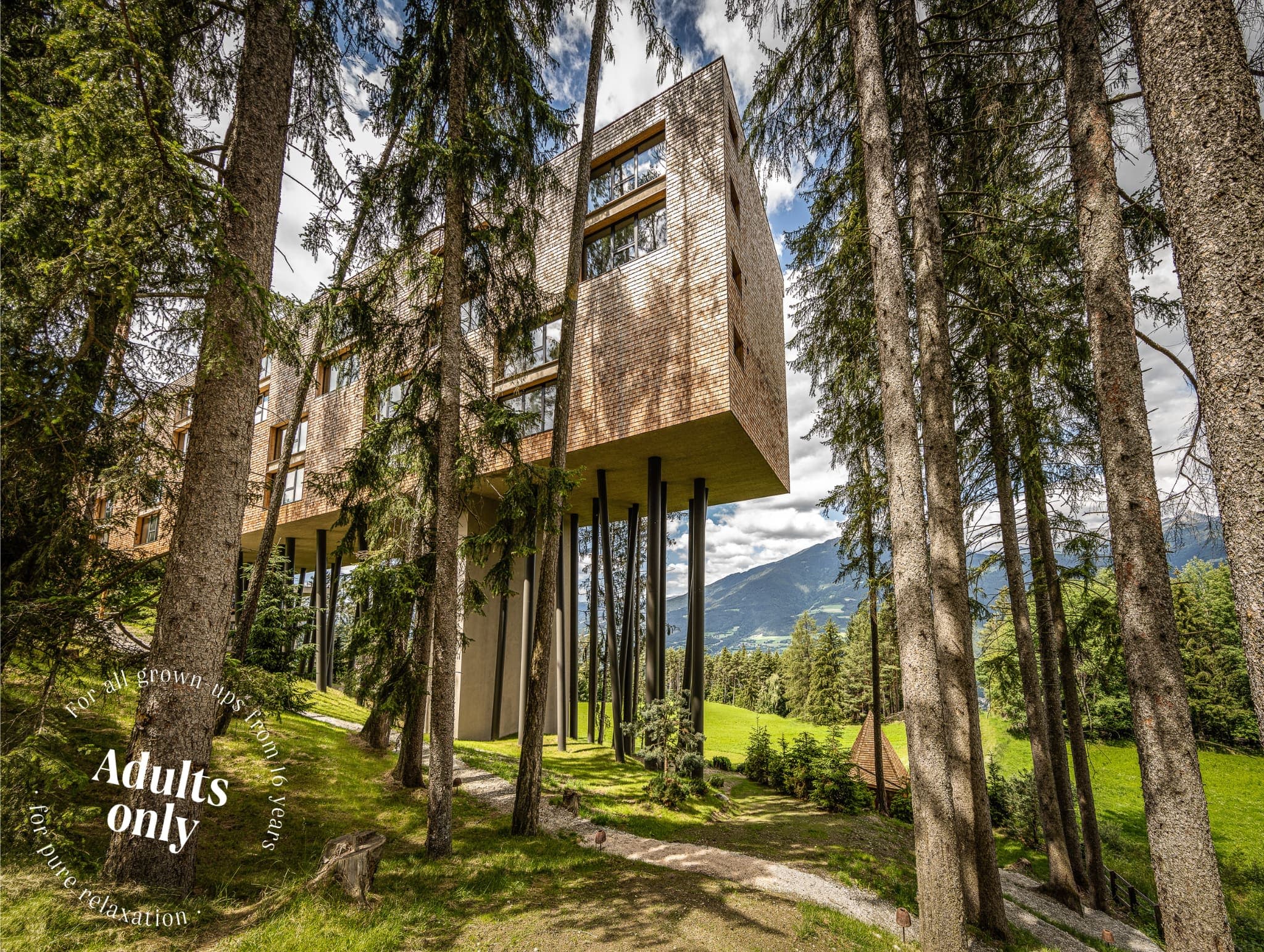 My Arbor - Dolomites