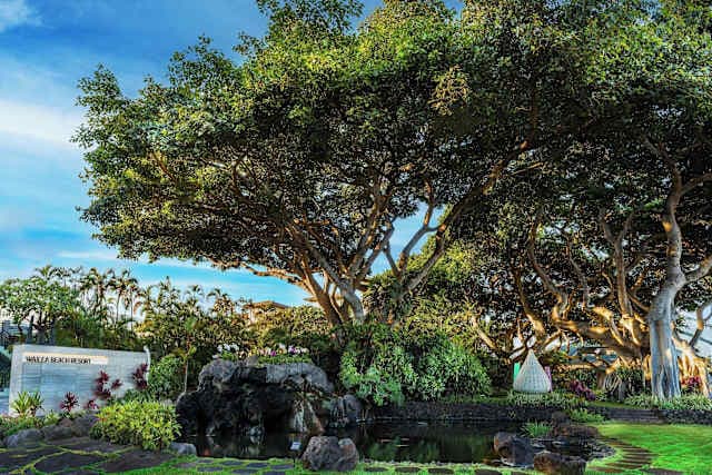 Hotel Wailea Beach Marriott Resort & Spa Ansicht 2