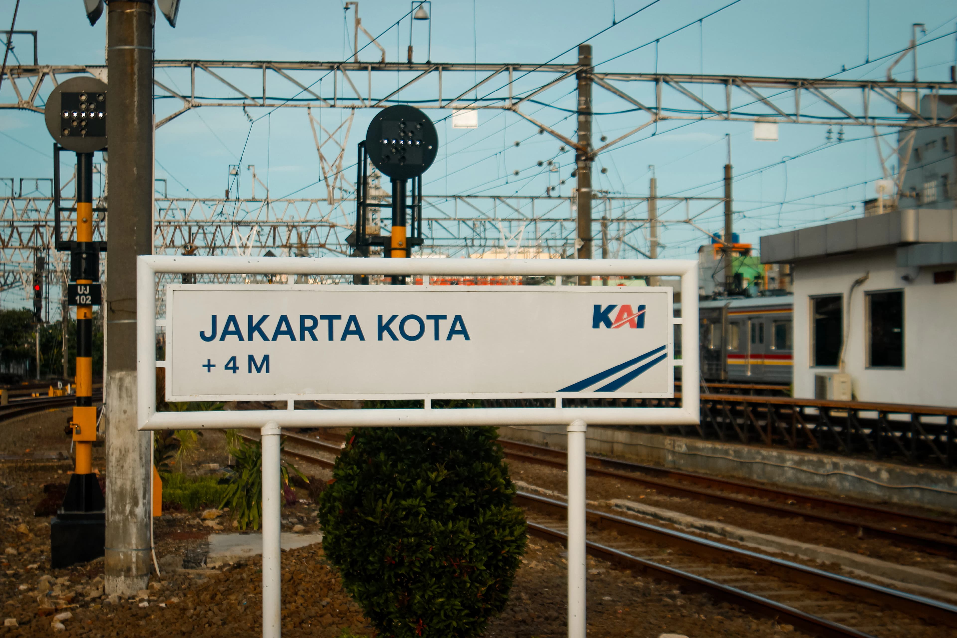 a train on the railway tracks