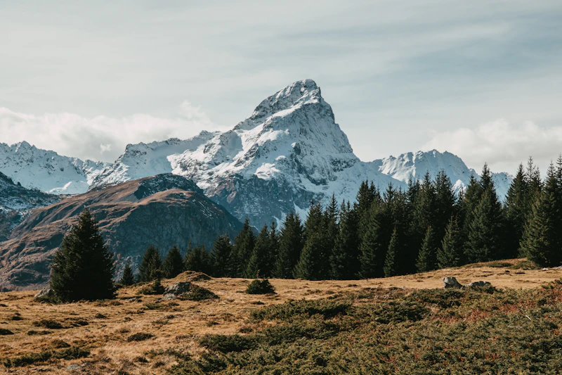 Schweizer Alpen