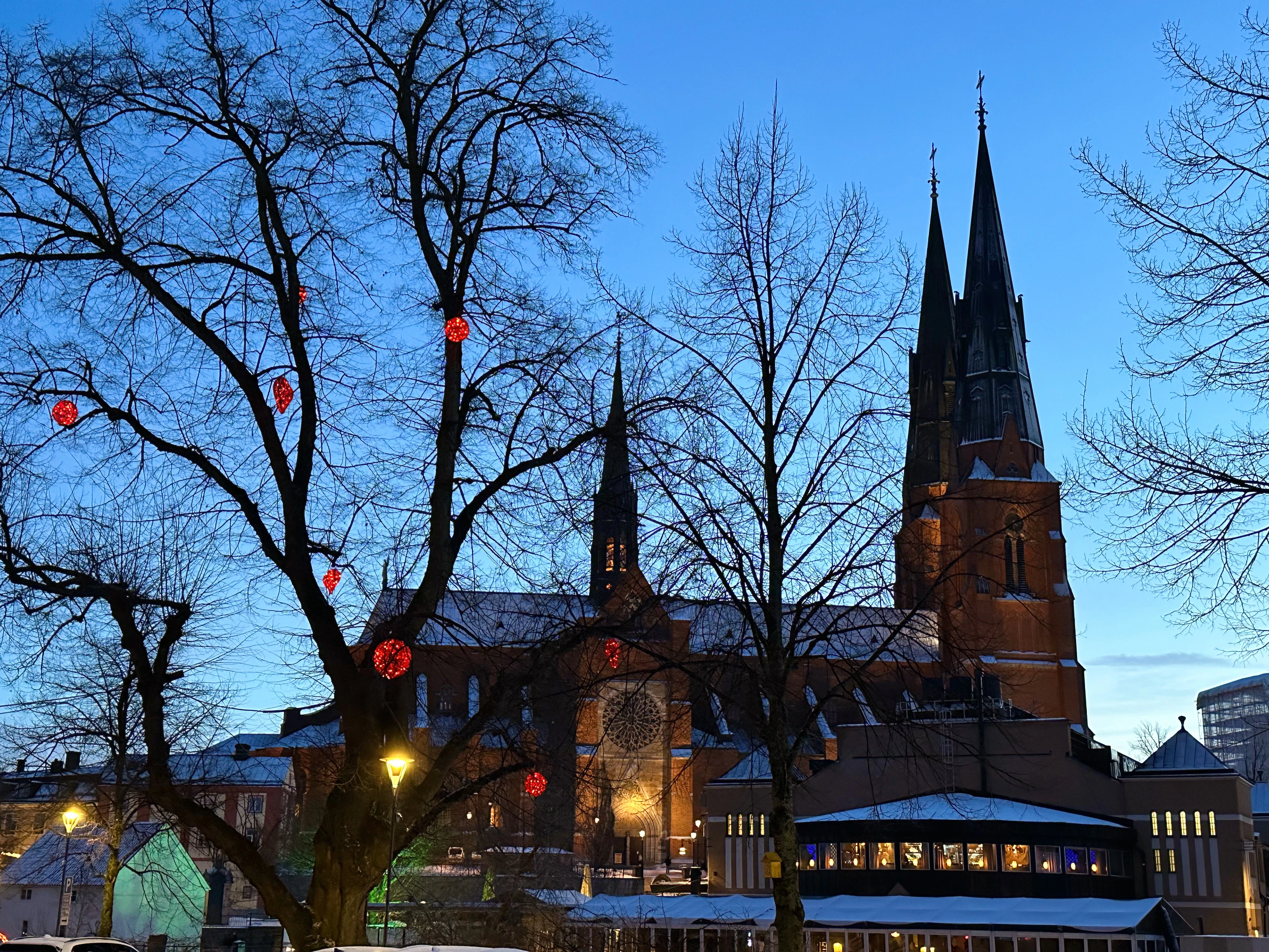 a large church with a tall steeple next to a tree