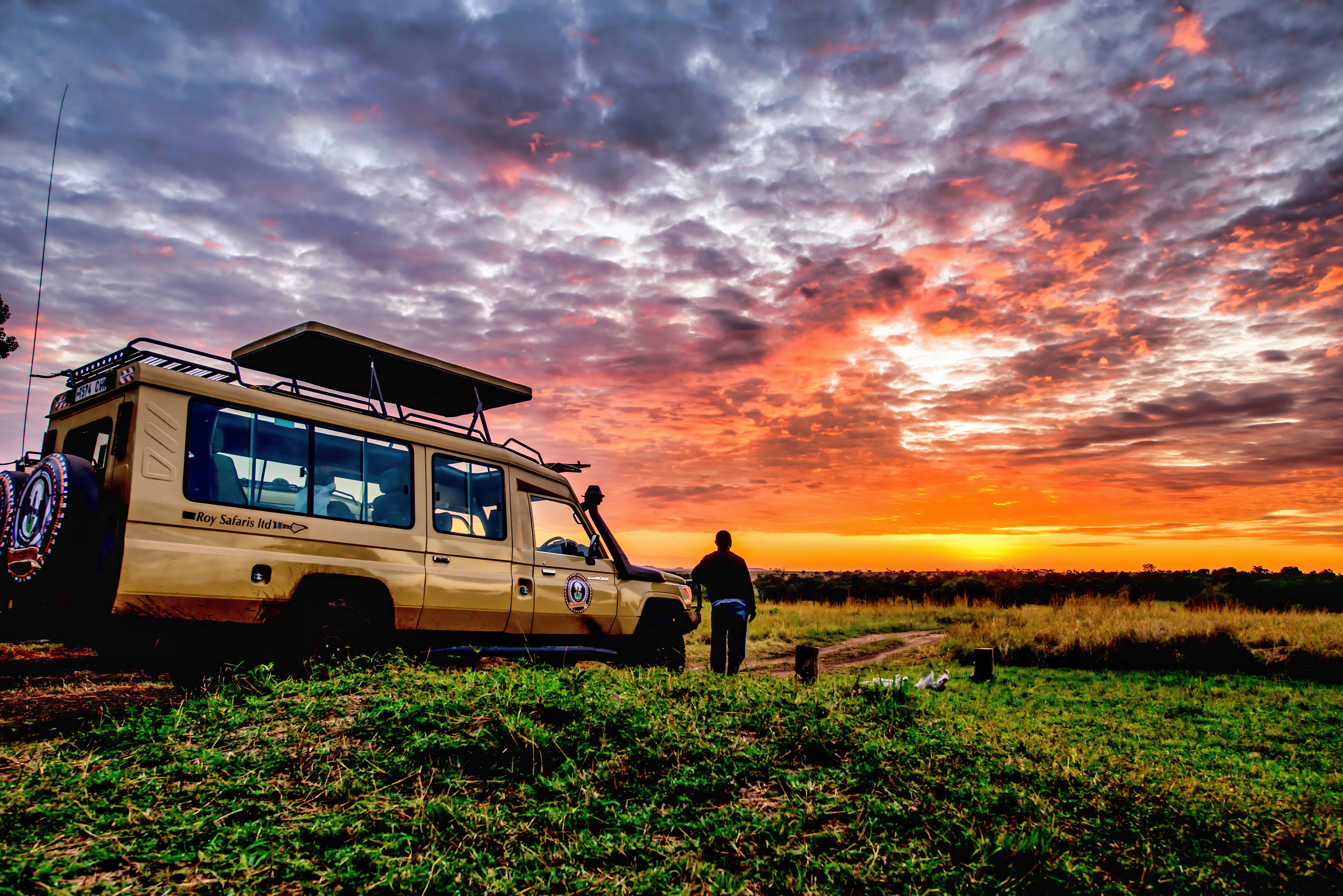 Safari jeep and person watching sunset in savanna.