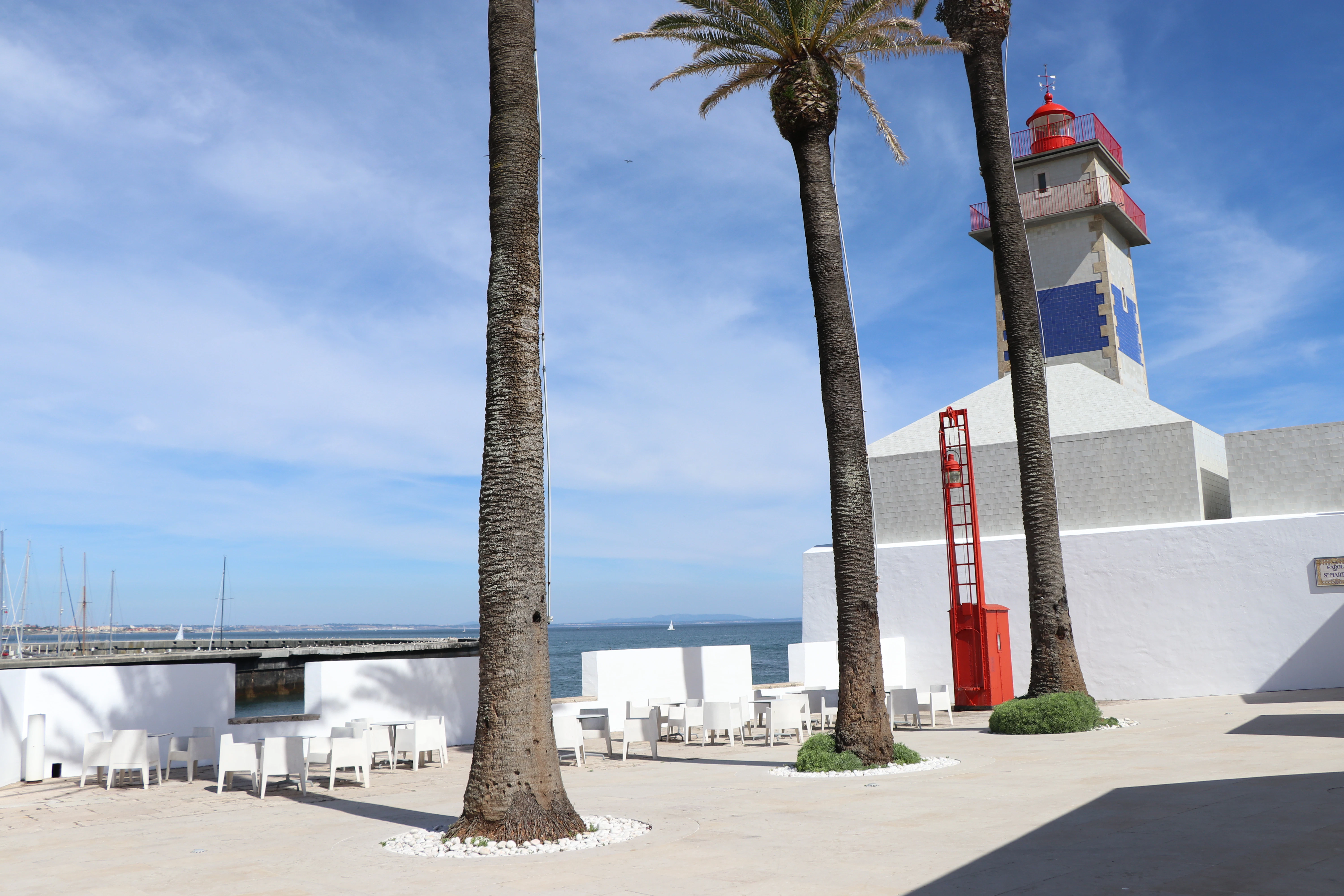 palm tree near white and red building during daytime