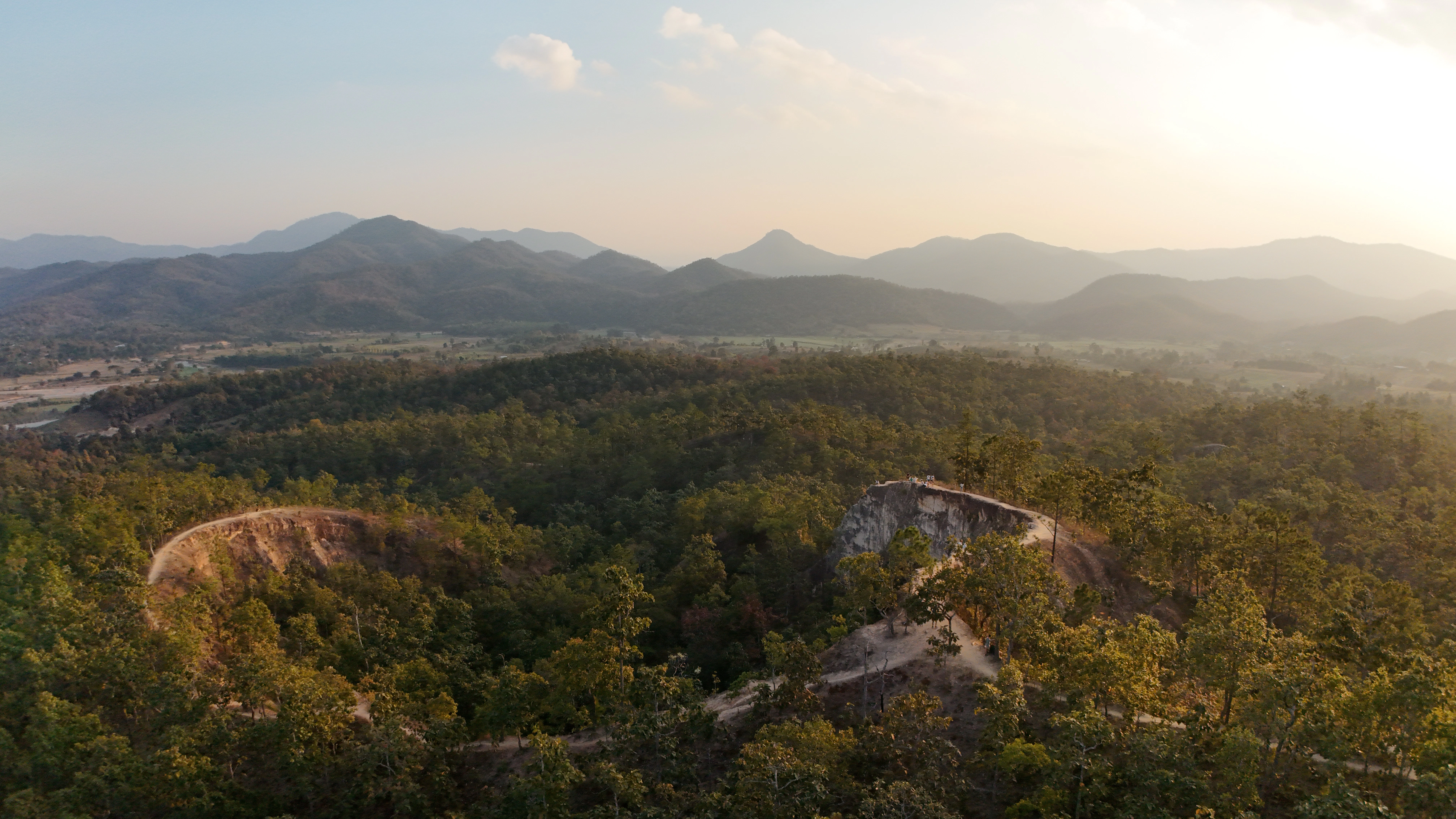 Expansive green forest with rolling hills at sunrise.