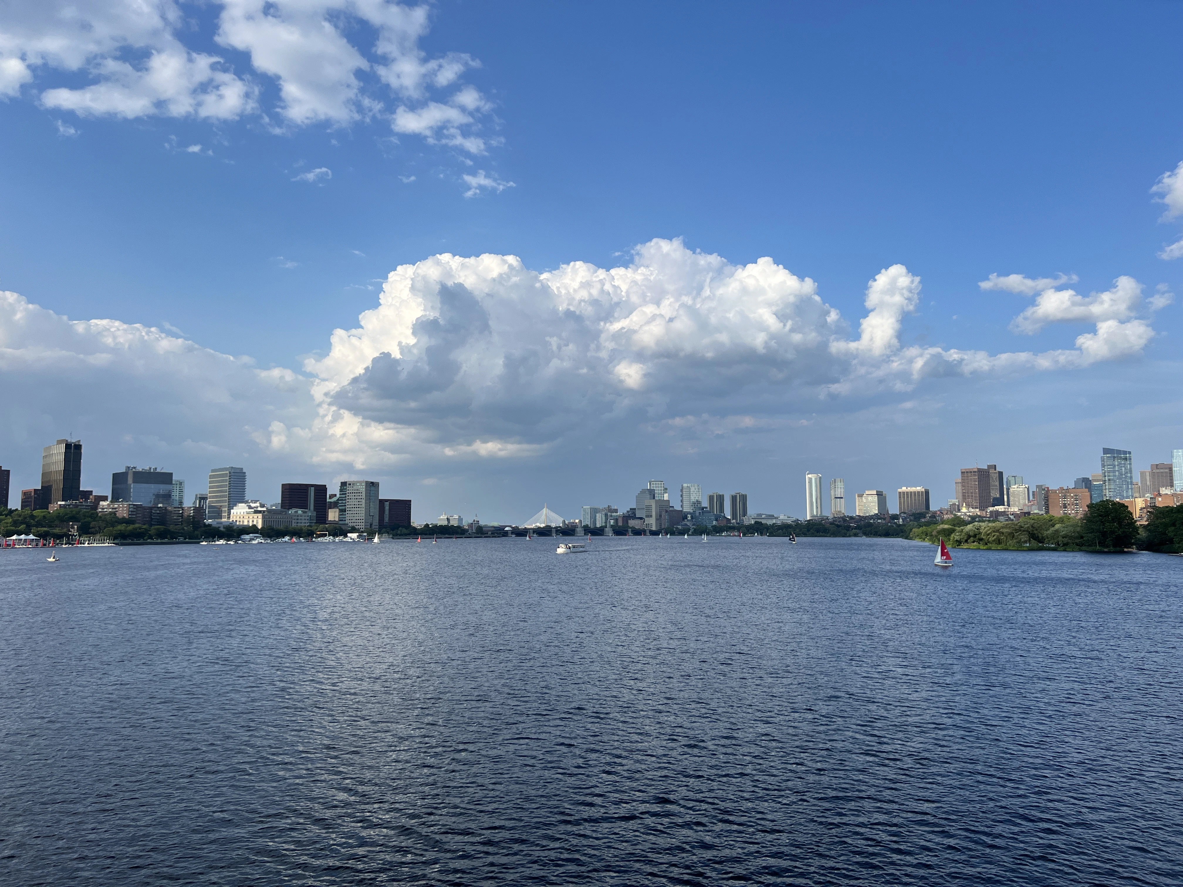 A body of water with a city in the background