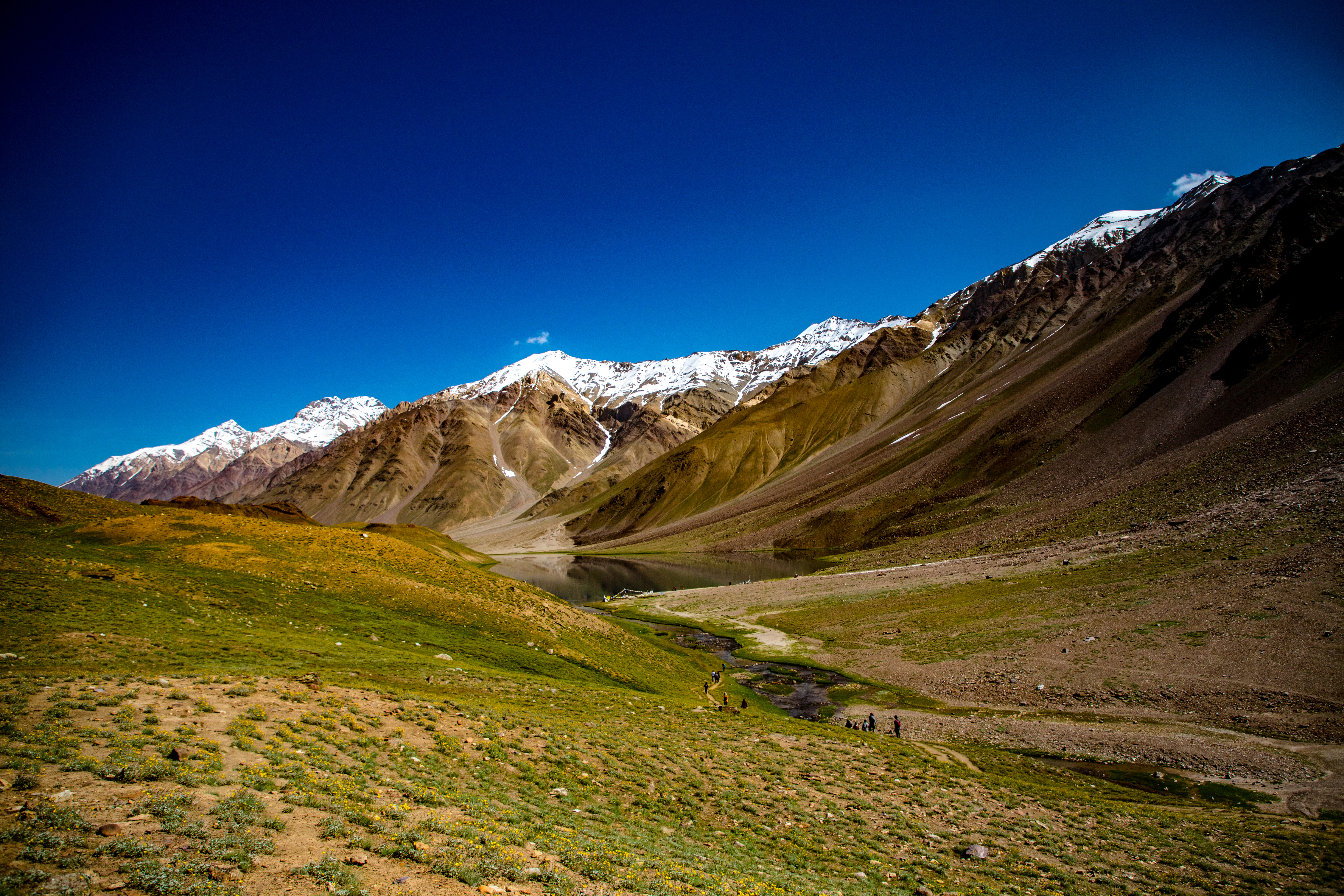 a grassy valley with snow covered mountains
