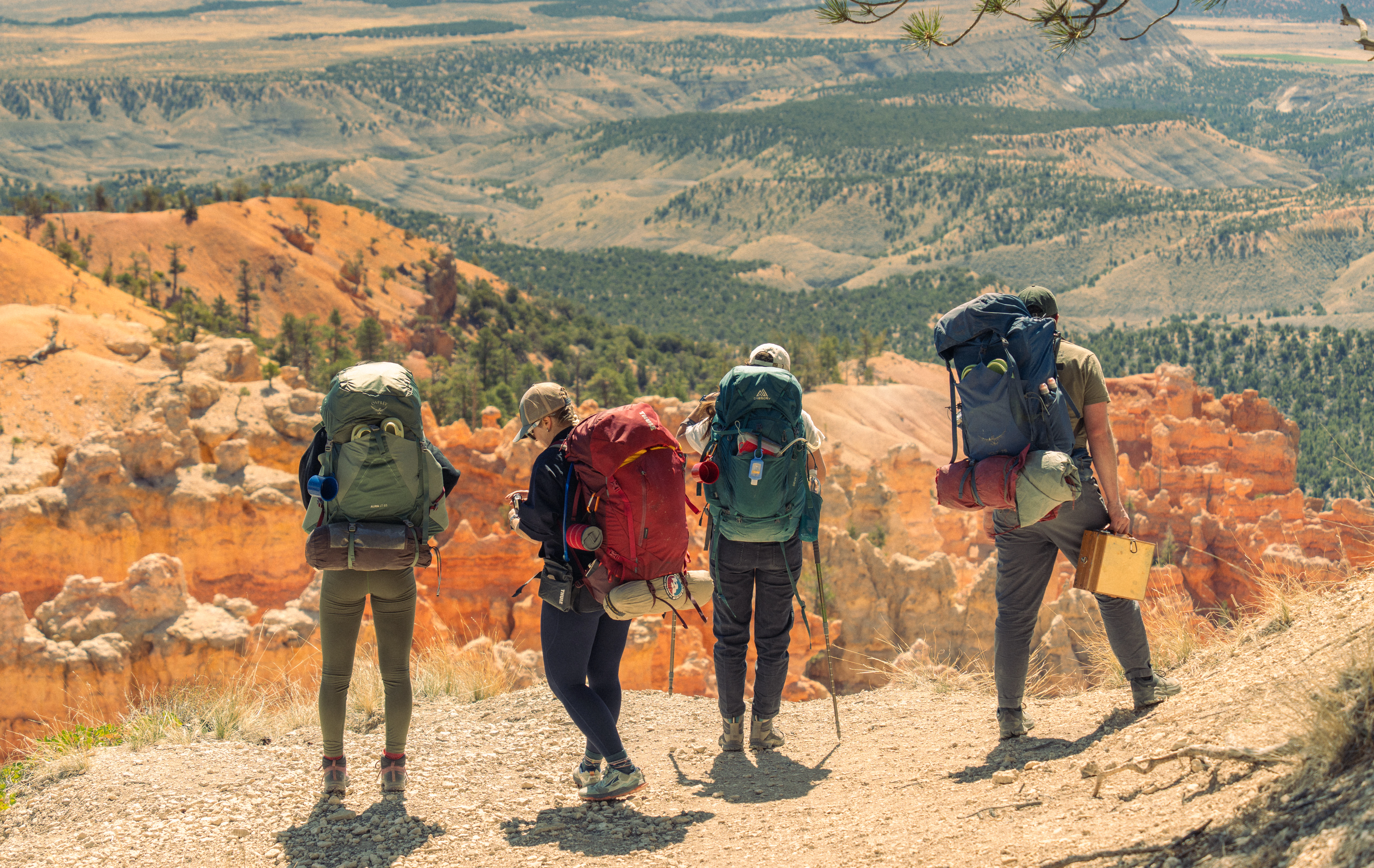 Four hikers with large backpacks on a scenic trail