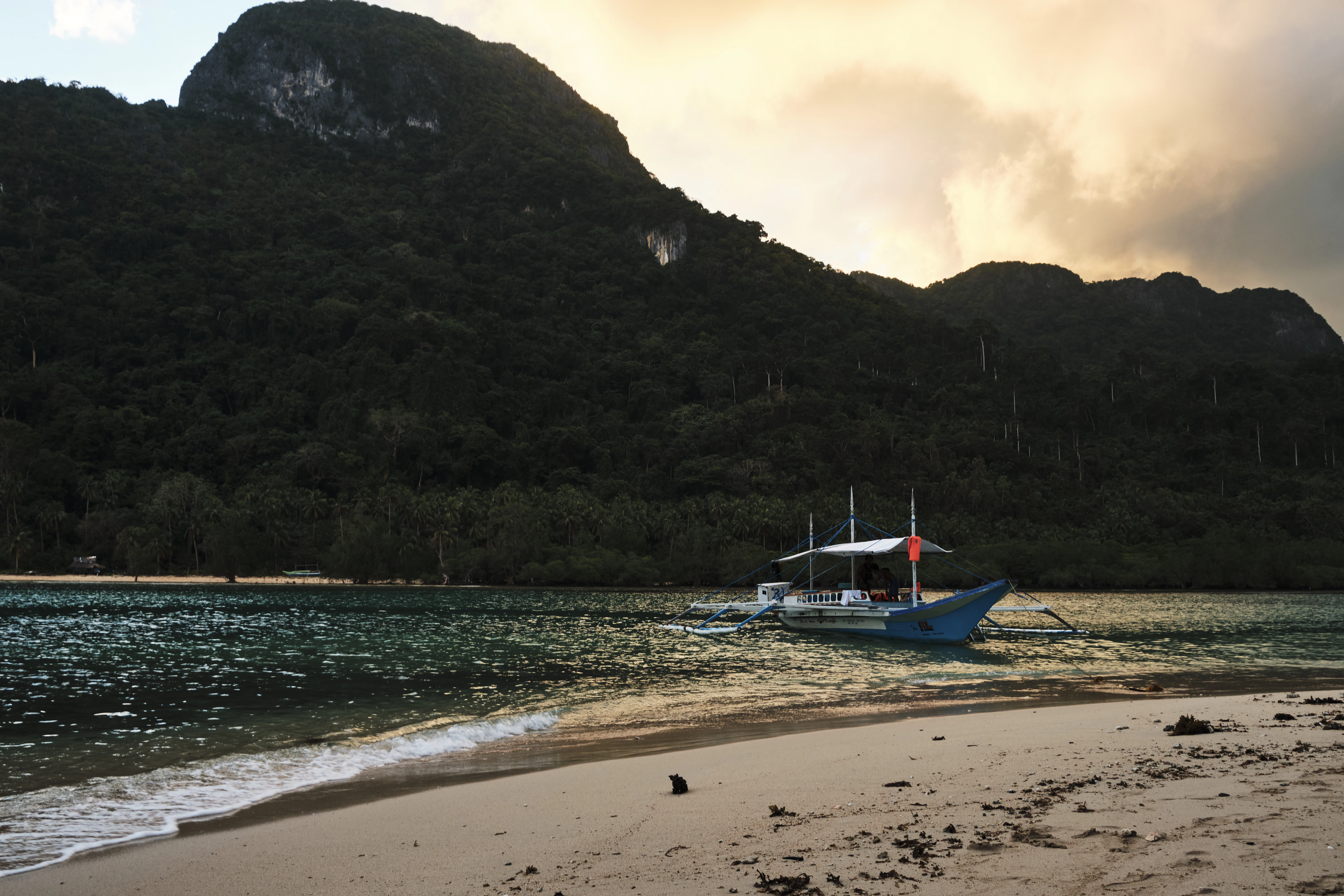blue and white boat on shore during daytime