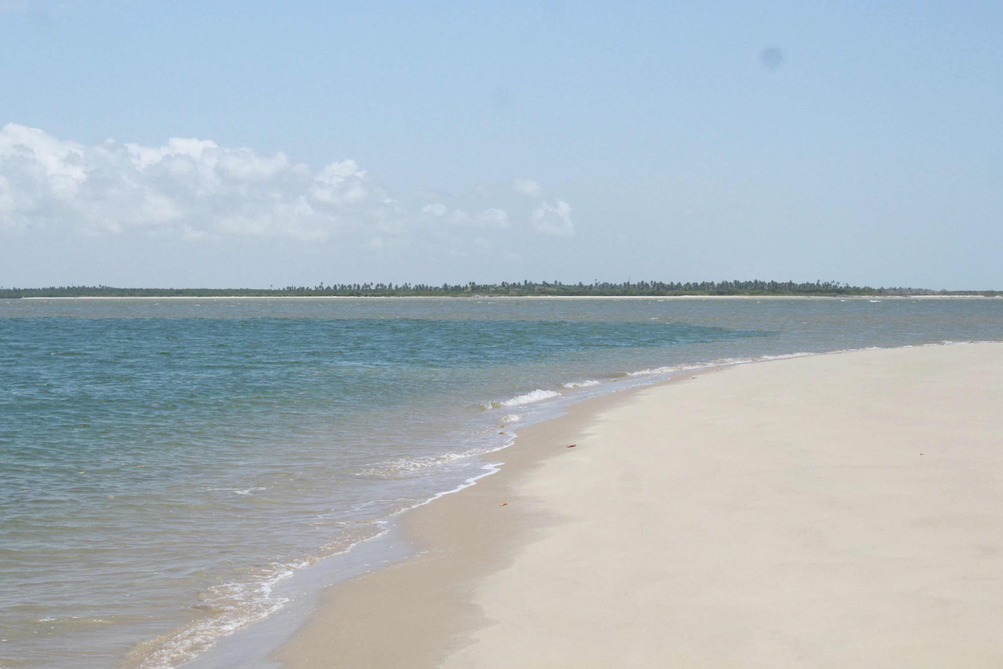 calm ocean