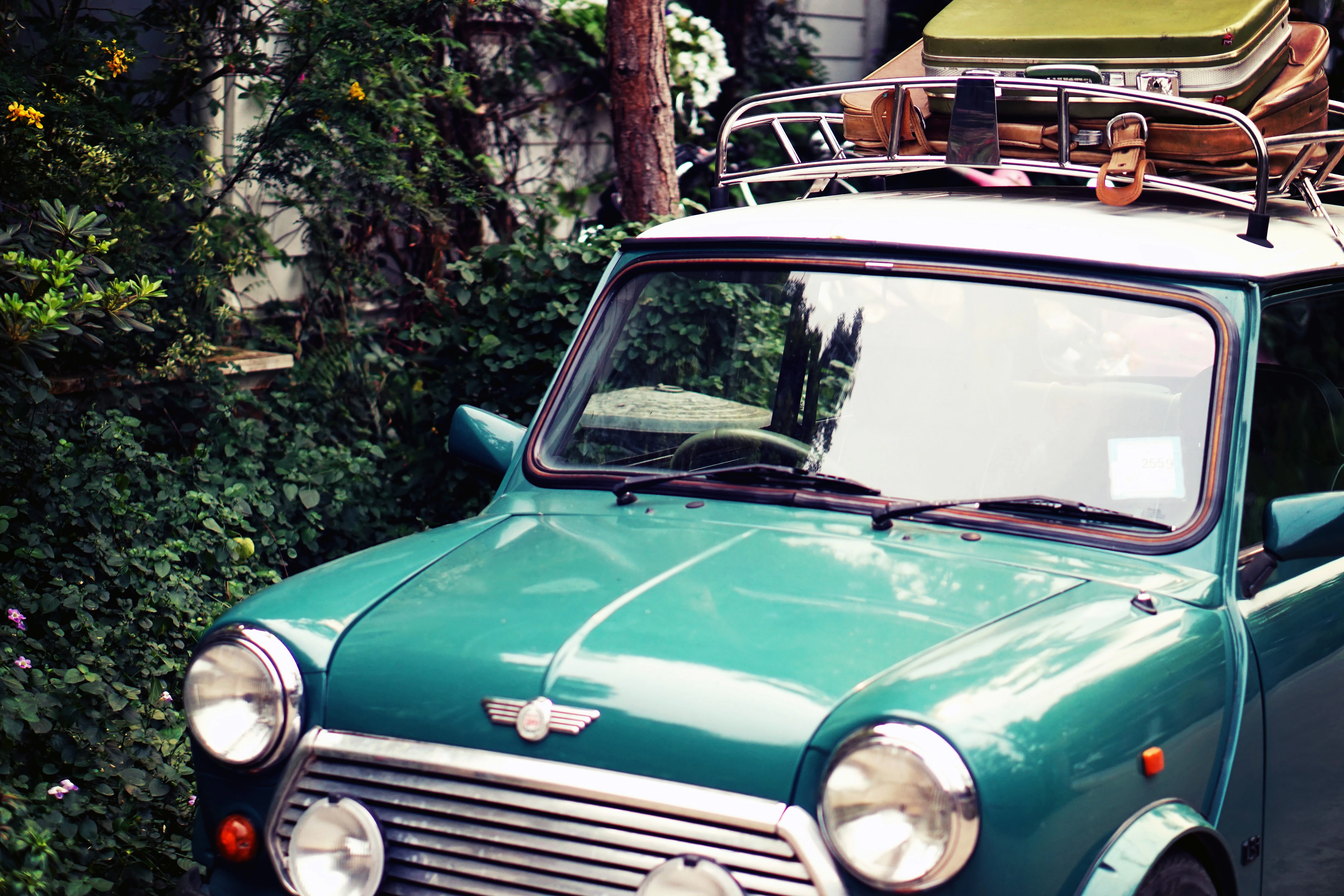classic green Mini Morris parked near bush at daytime
