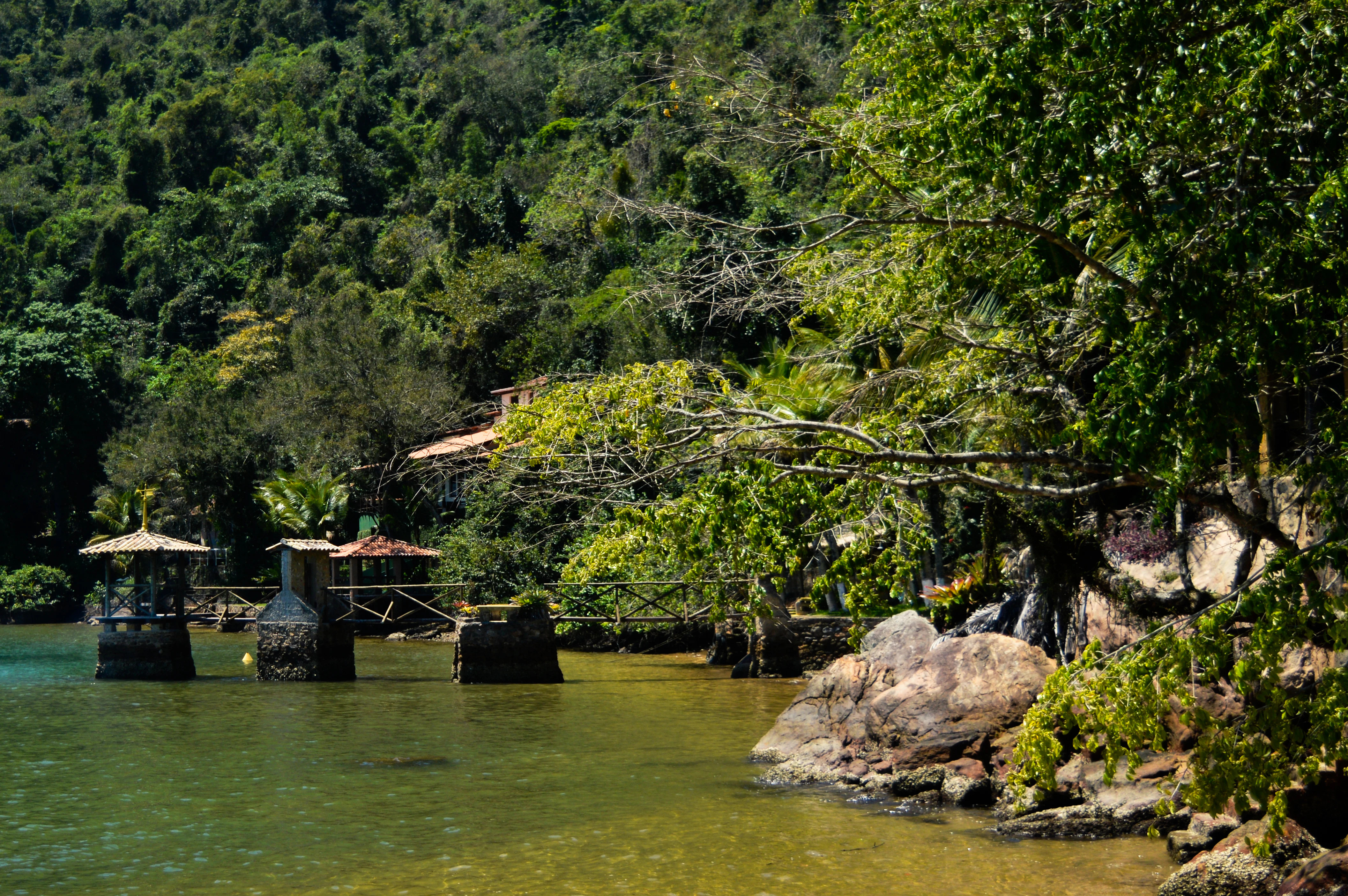 a body of water surrounded by trees and rocks
