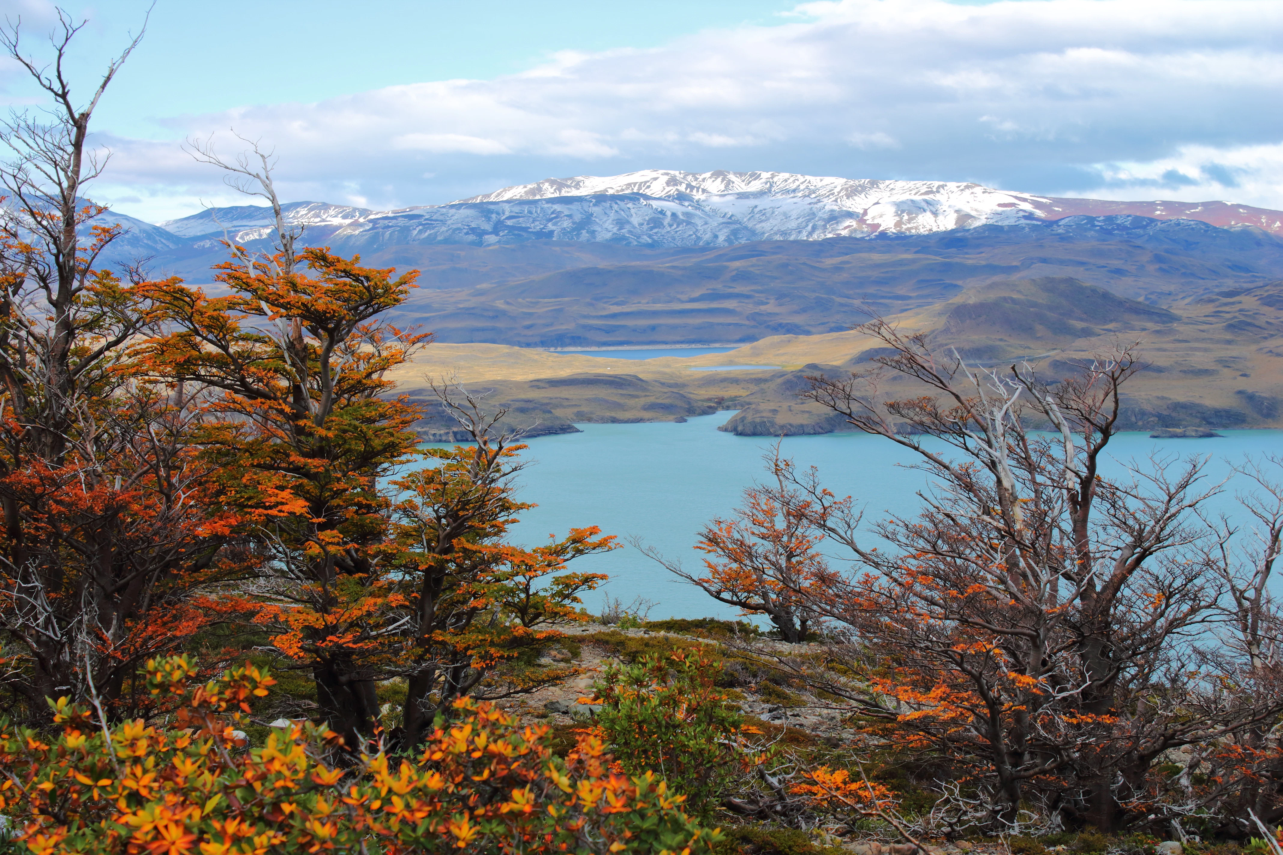 a lake surrounded by trees and mountains