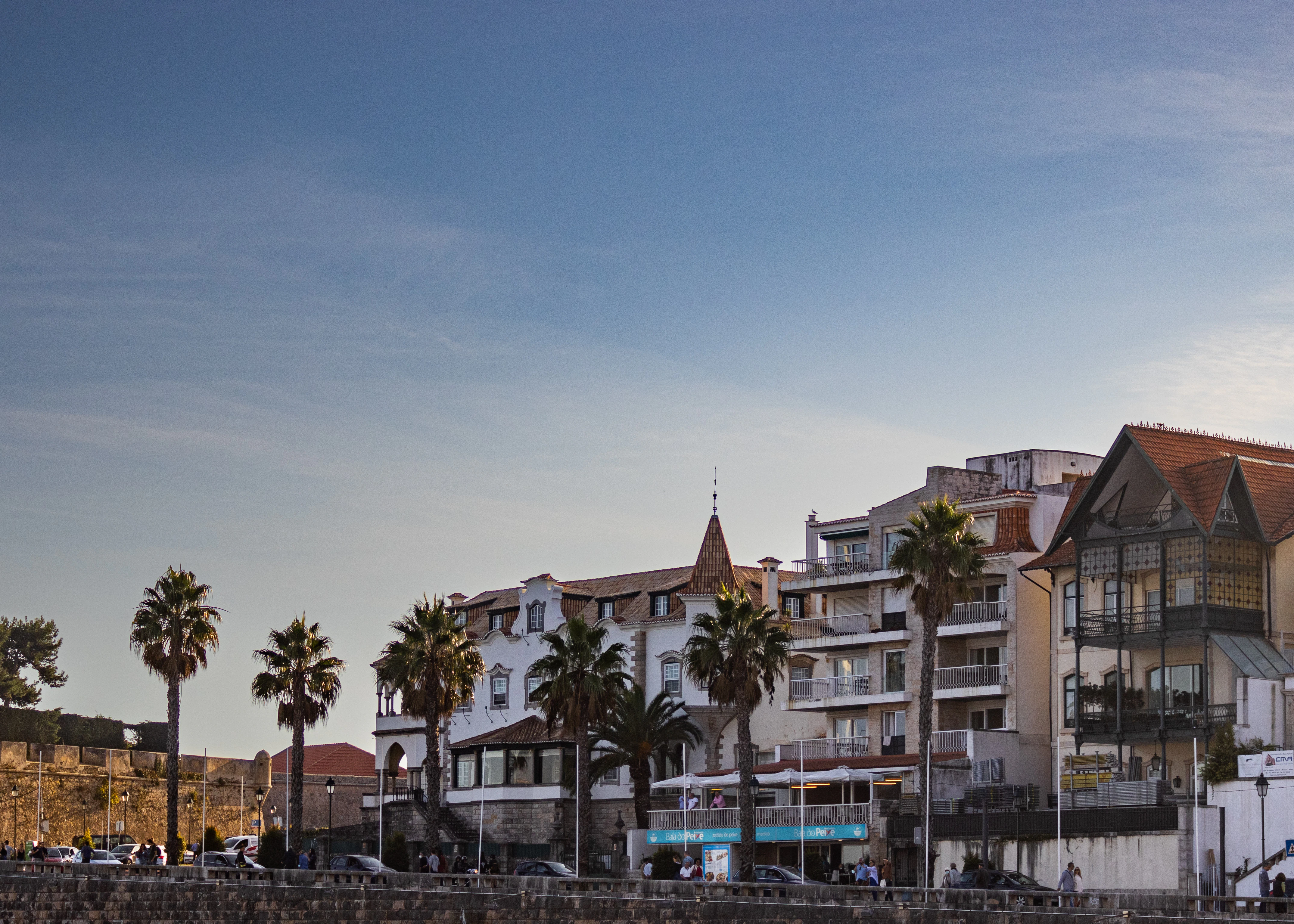a row of buildings with palm trees in front of them