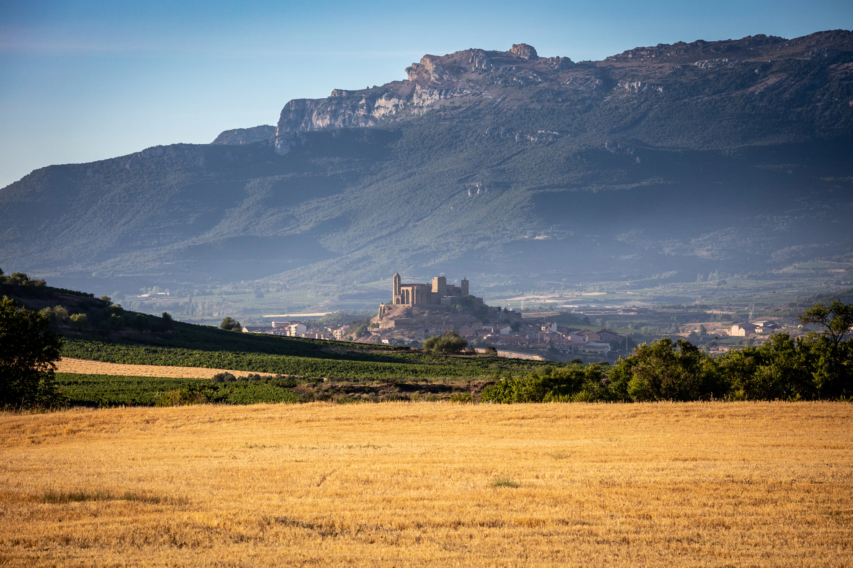 a castle on a hill