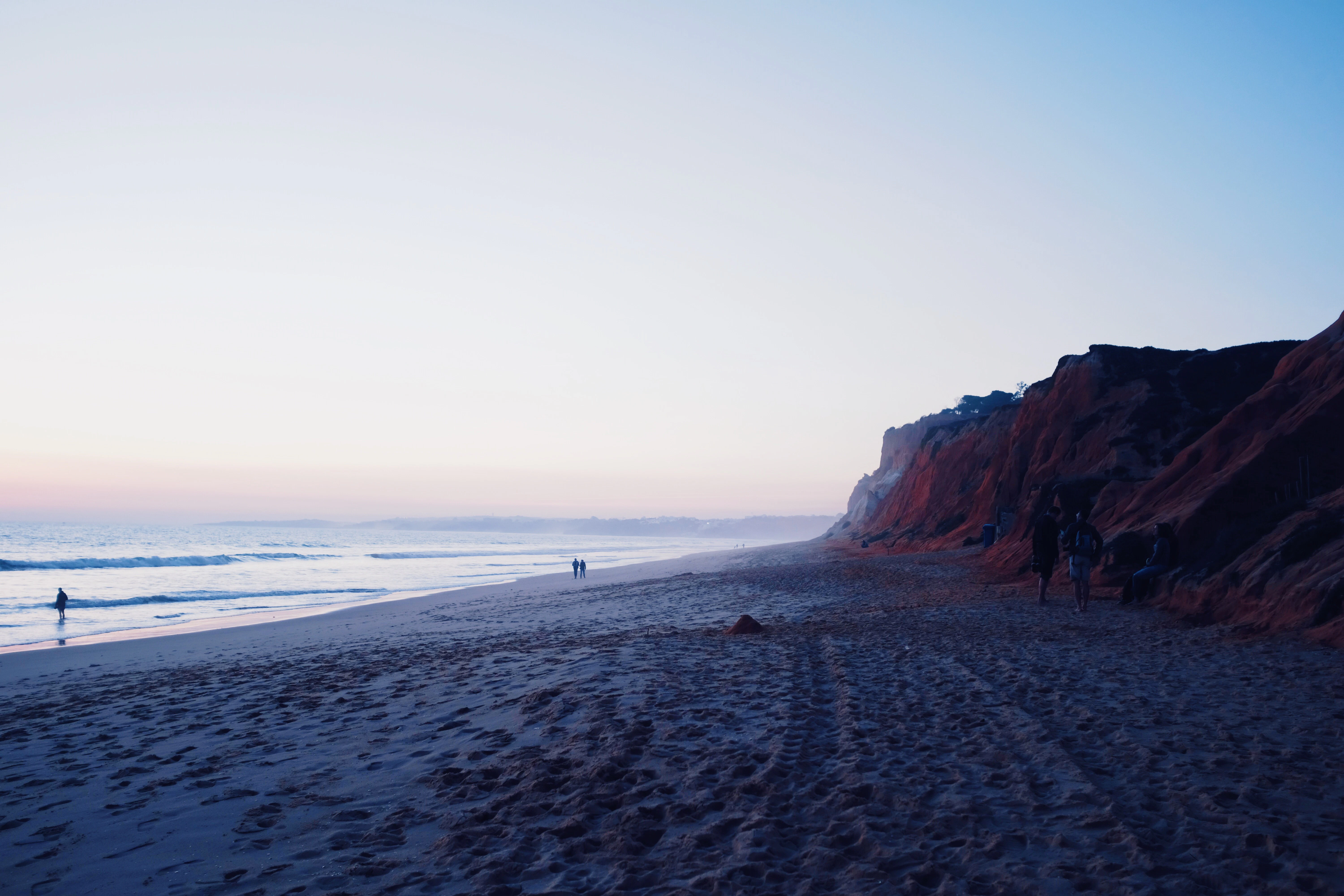 people walking on seashore during daytime