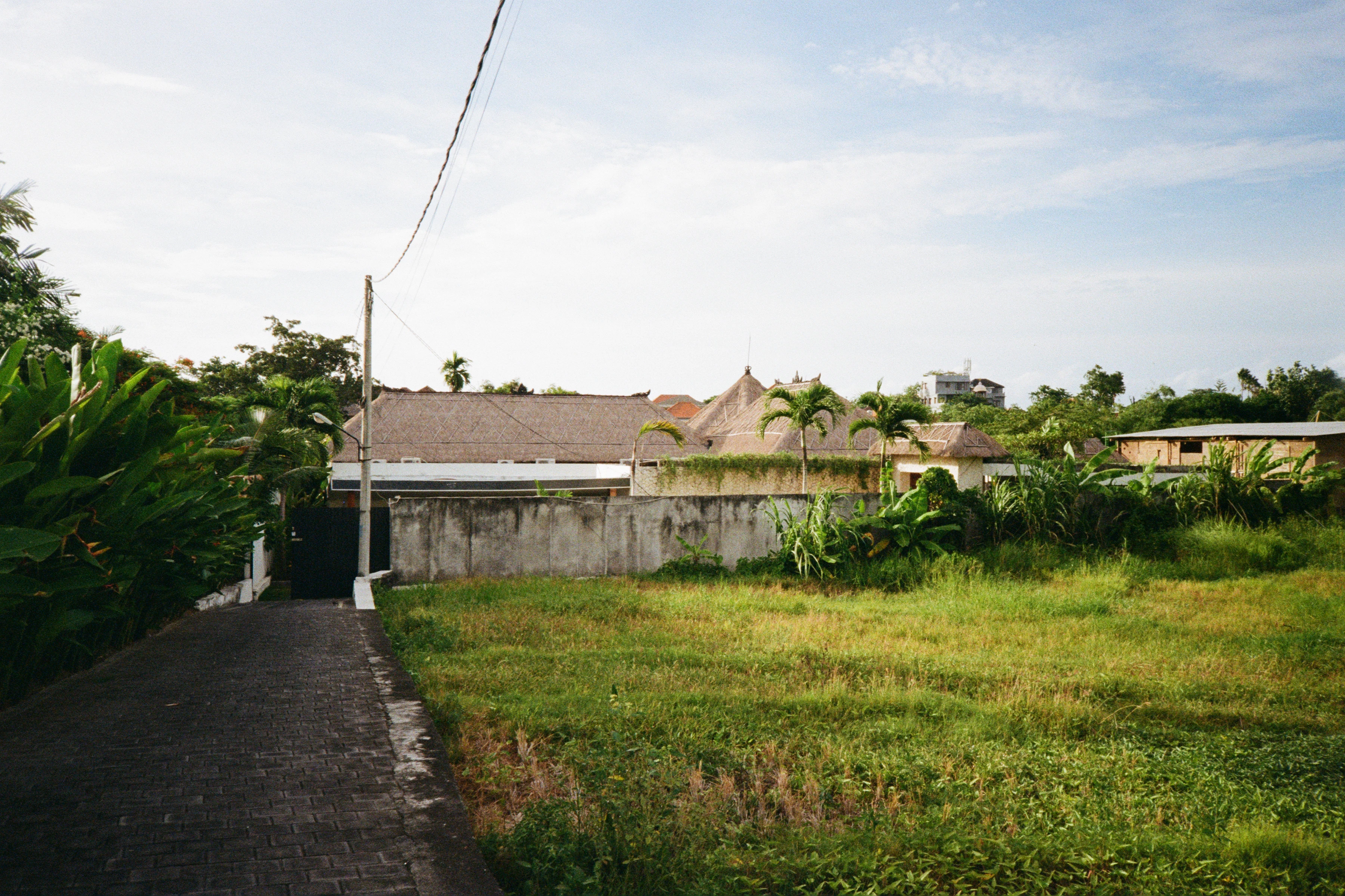 a grassy yard with a house in the background