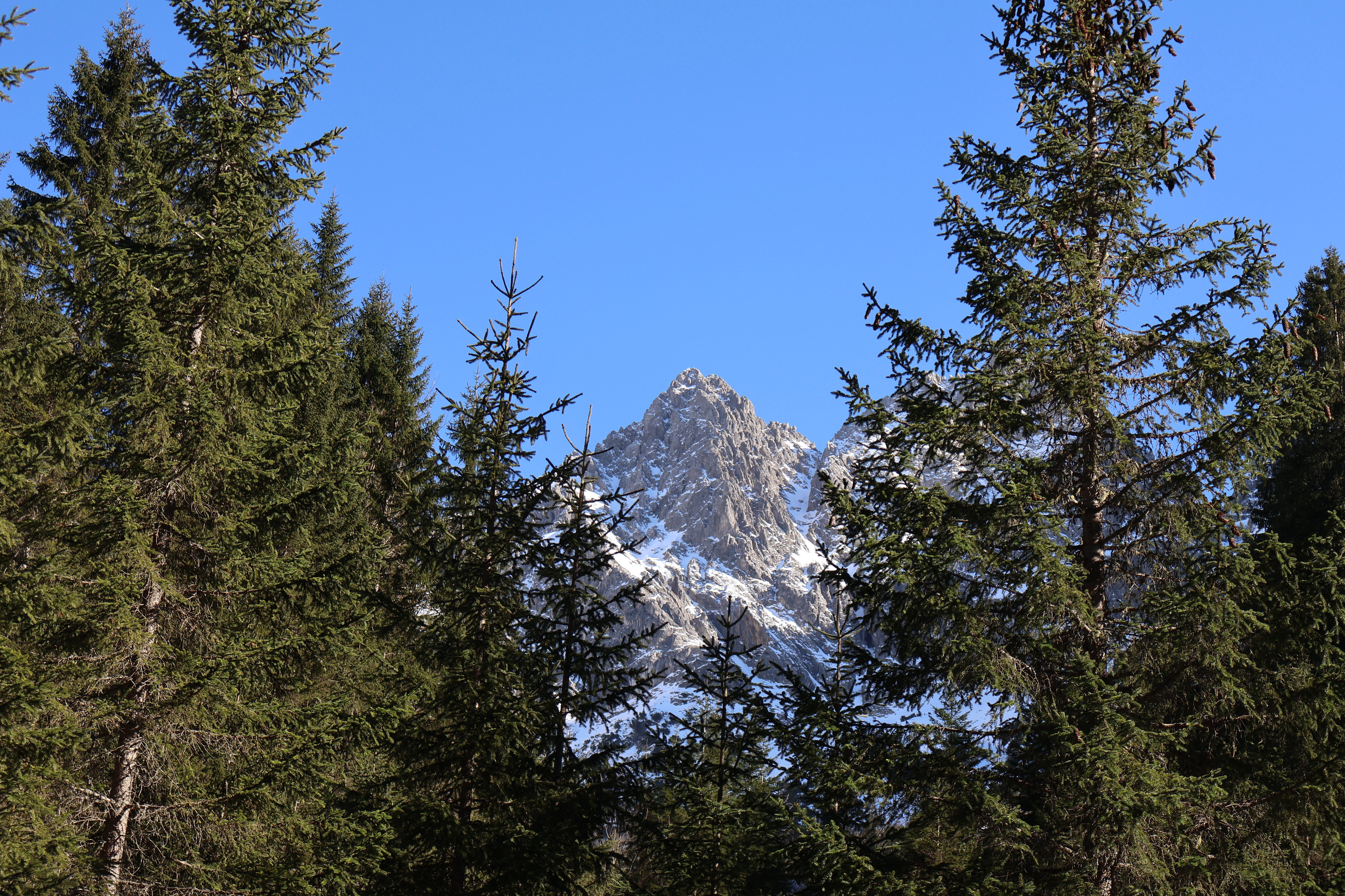 A mountain peak rises between trees.