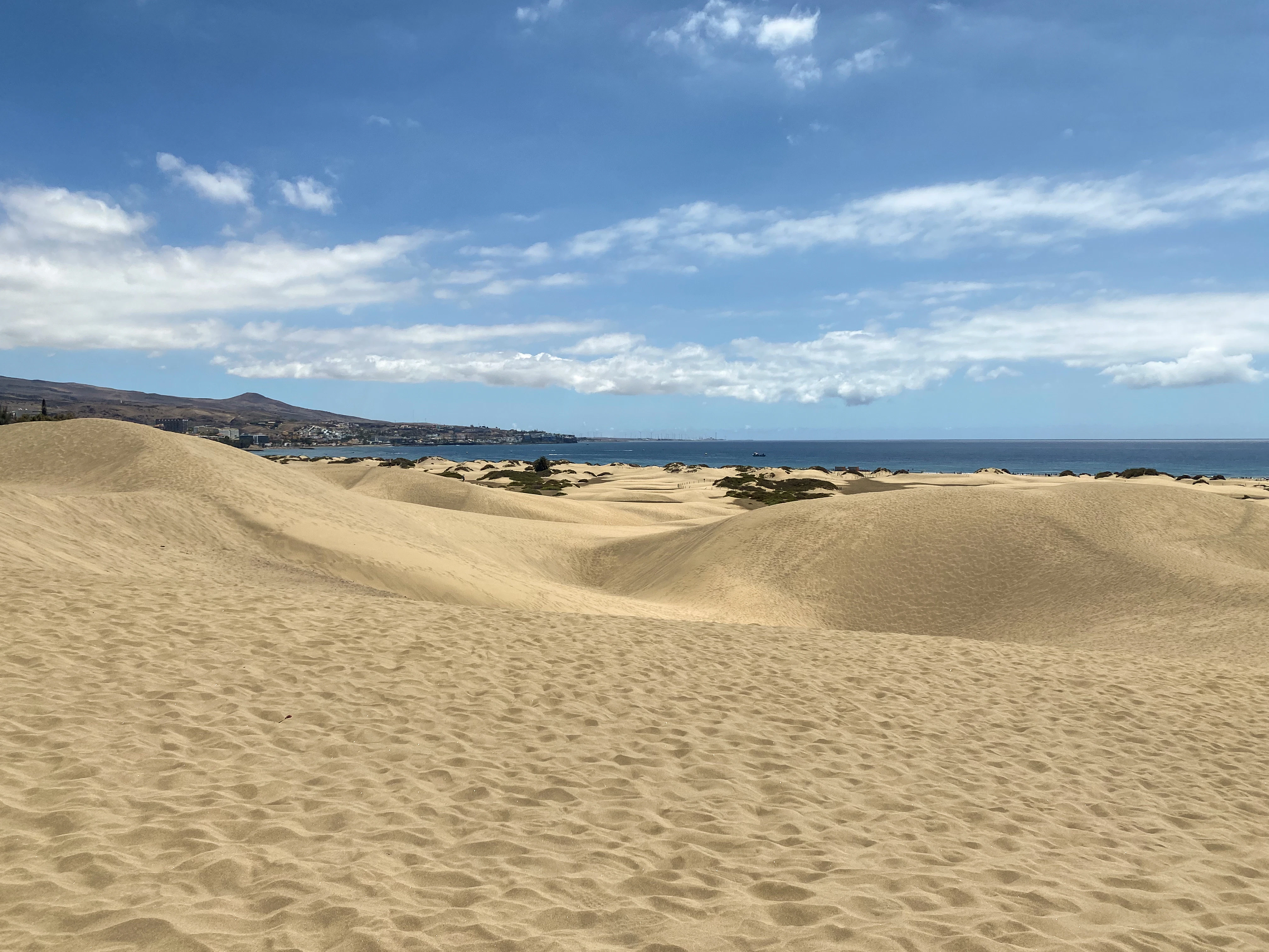 A sandy beach with a blue sky and ocean in the background