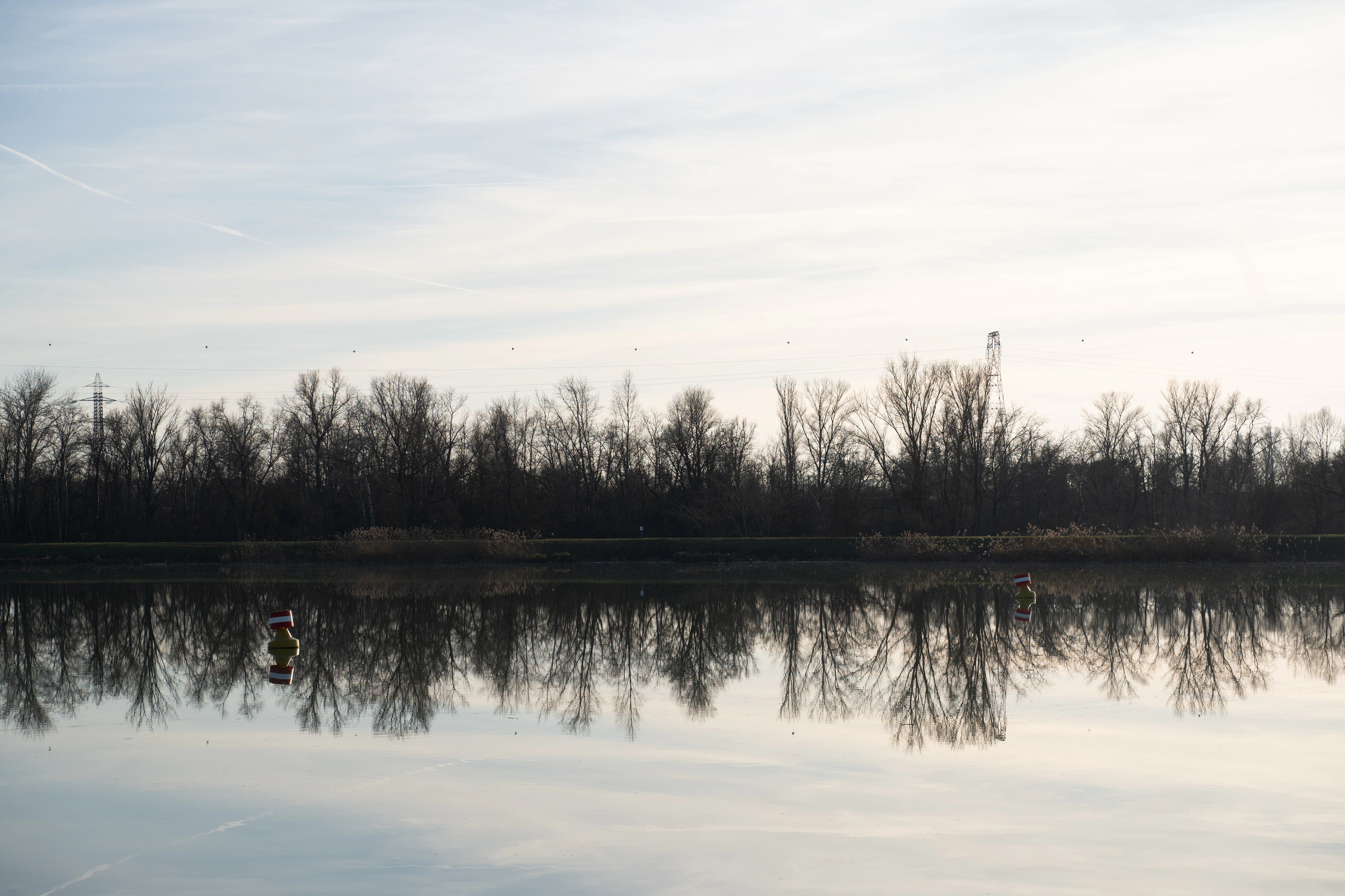 a body of water with trees in the background