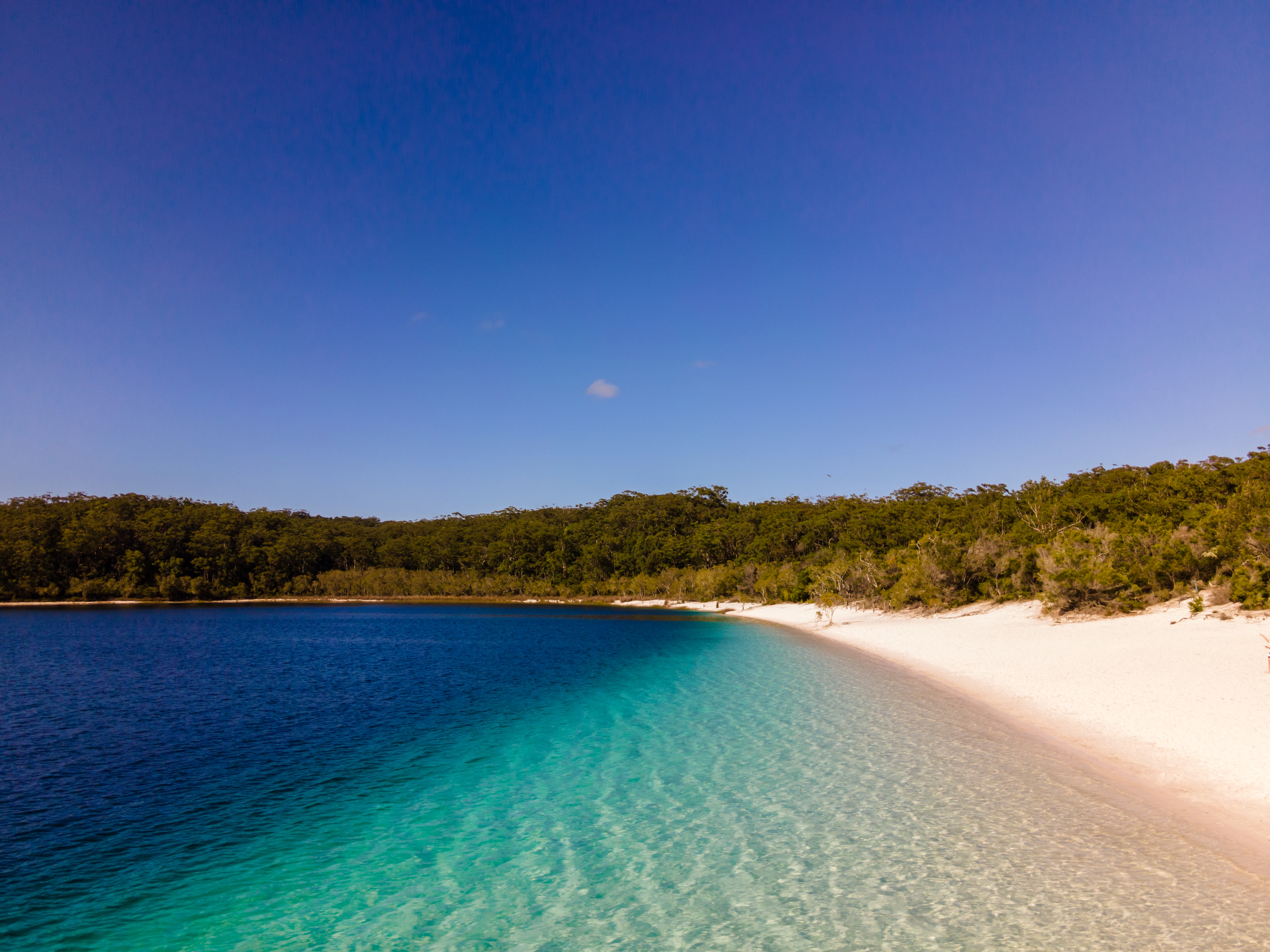 a body of water surrounded by trees and sand