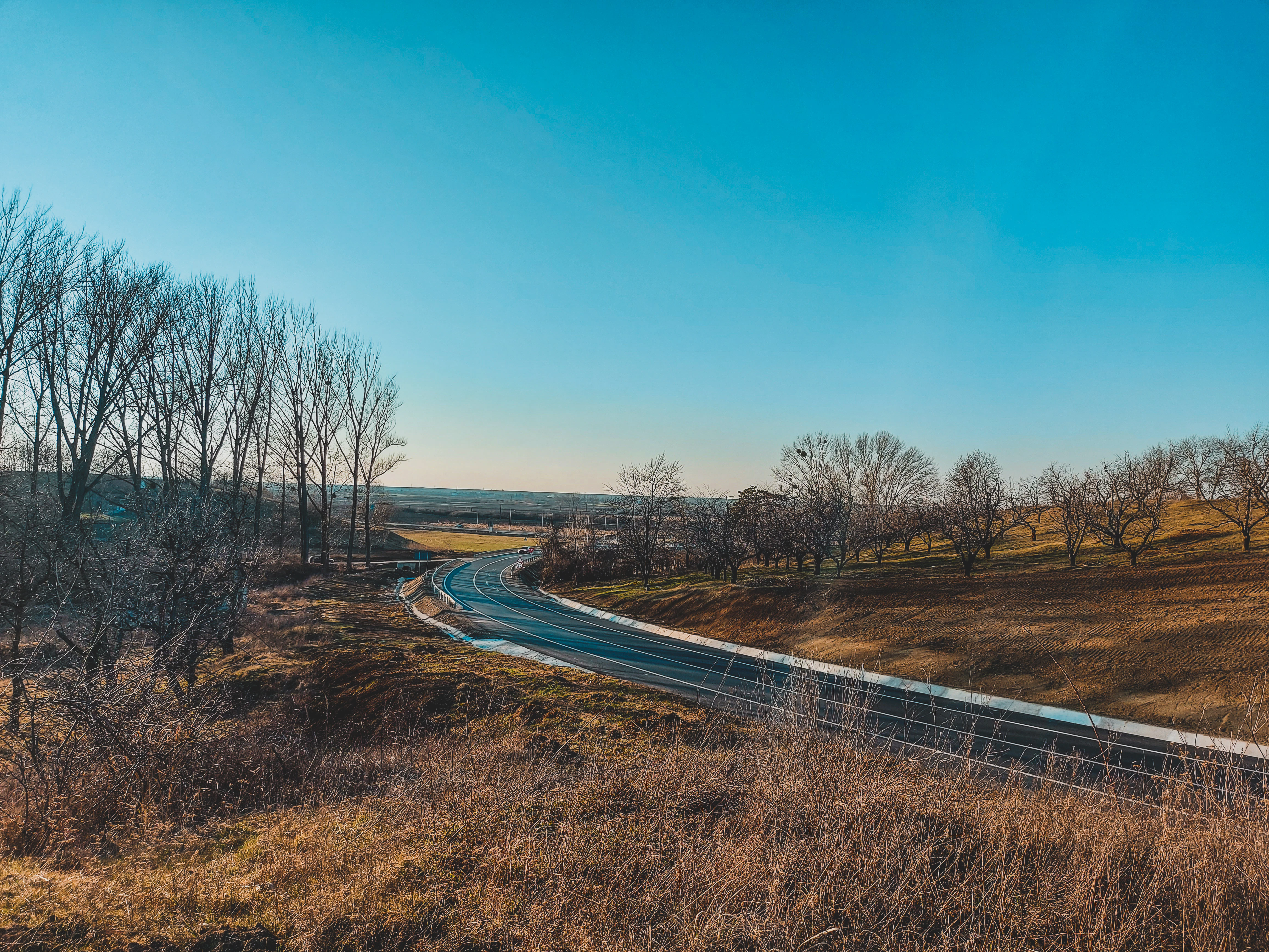a winding road in the middle of a field