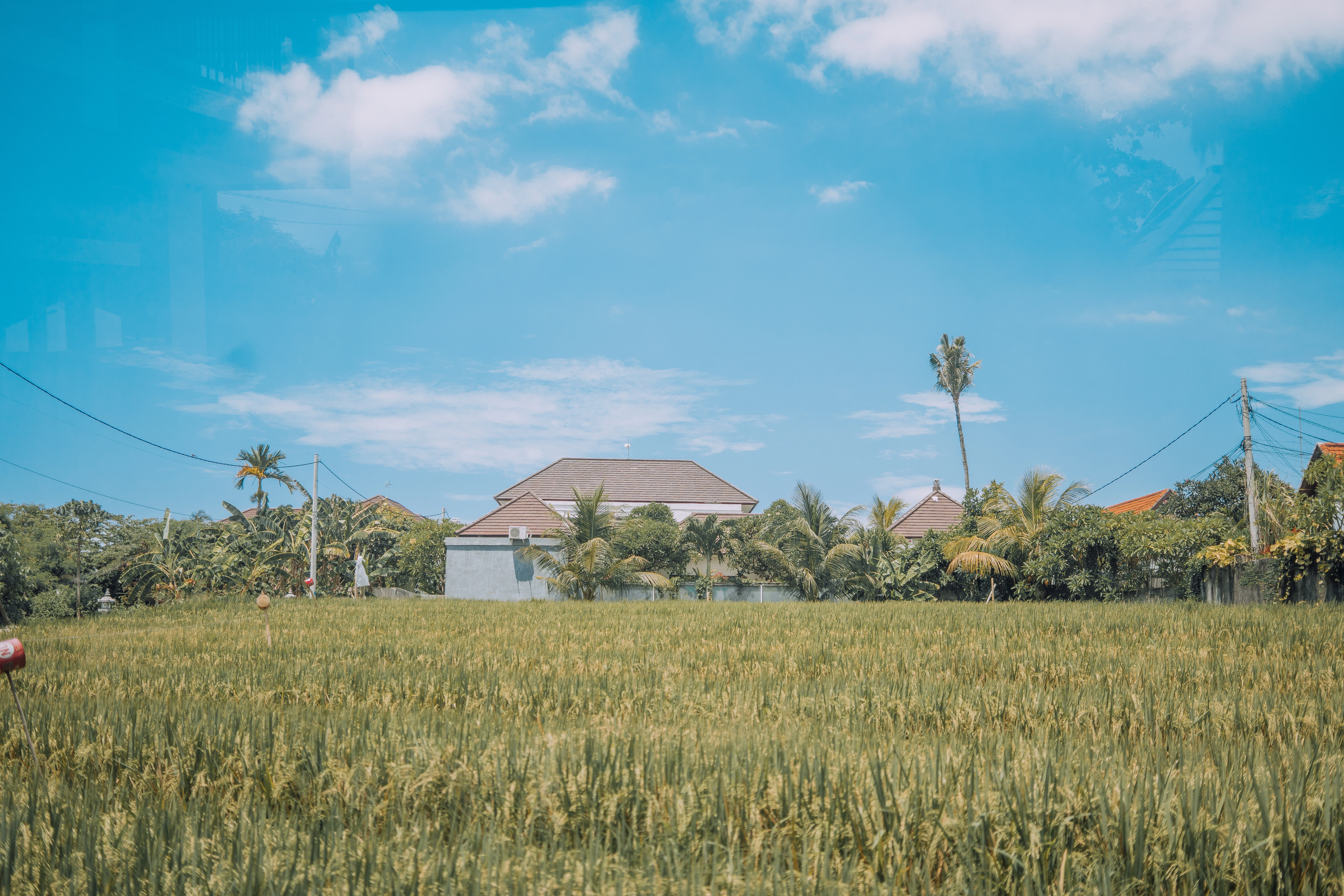 white and brown house near green grass field under blue sky during daytime