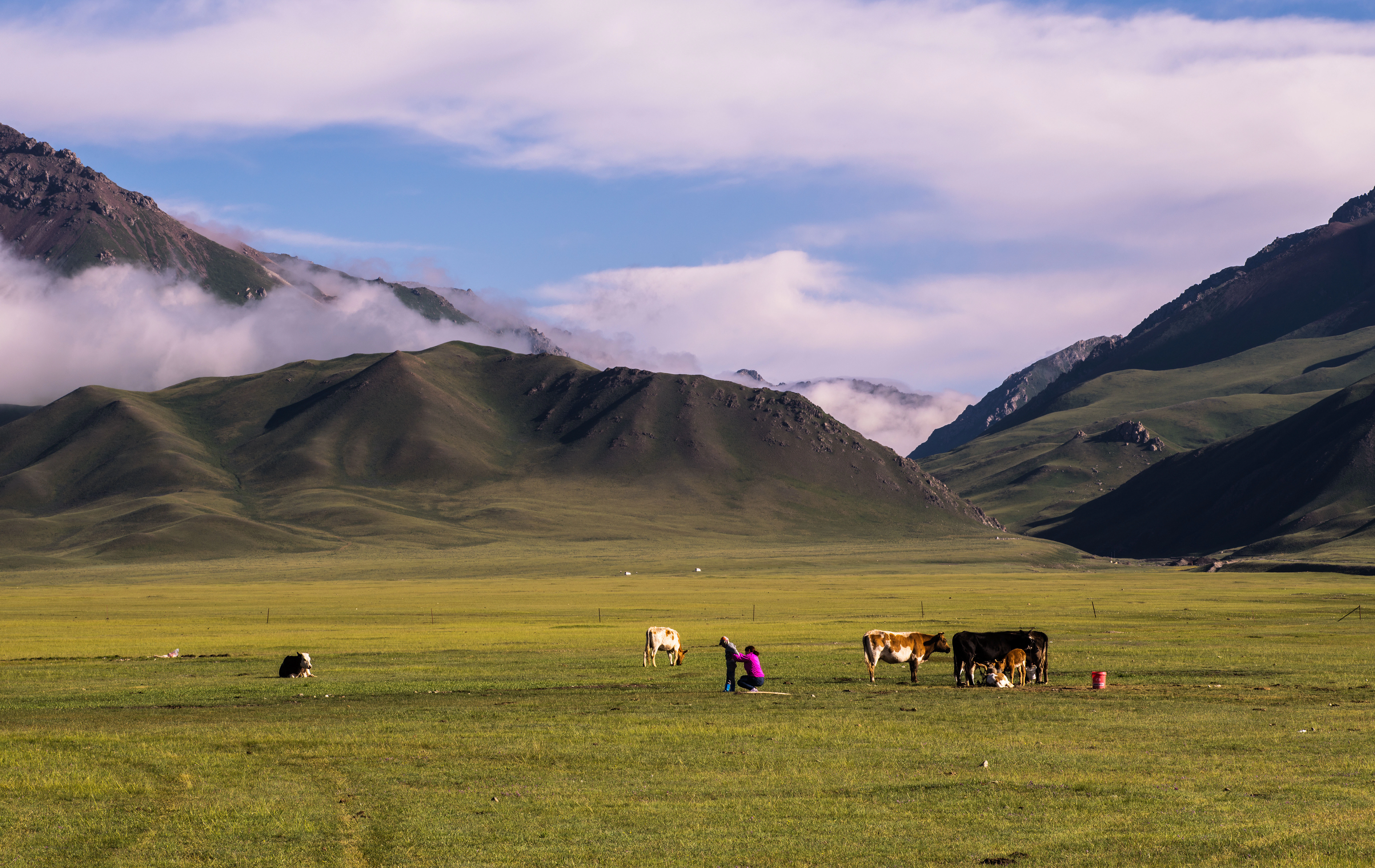 people on green grass field near mountain during daytime