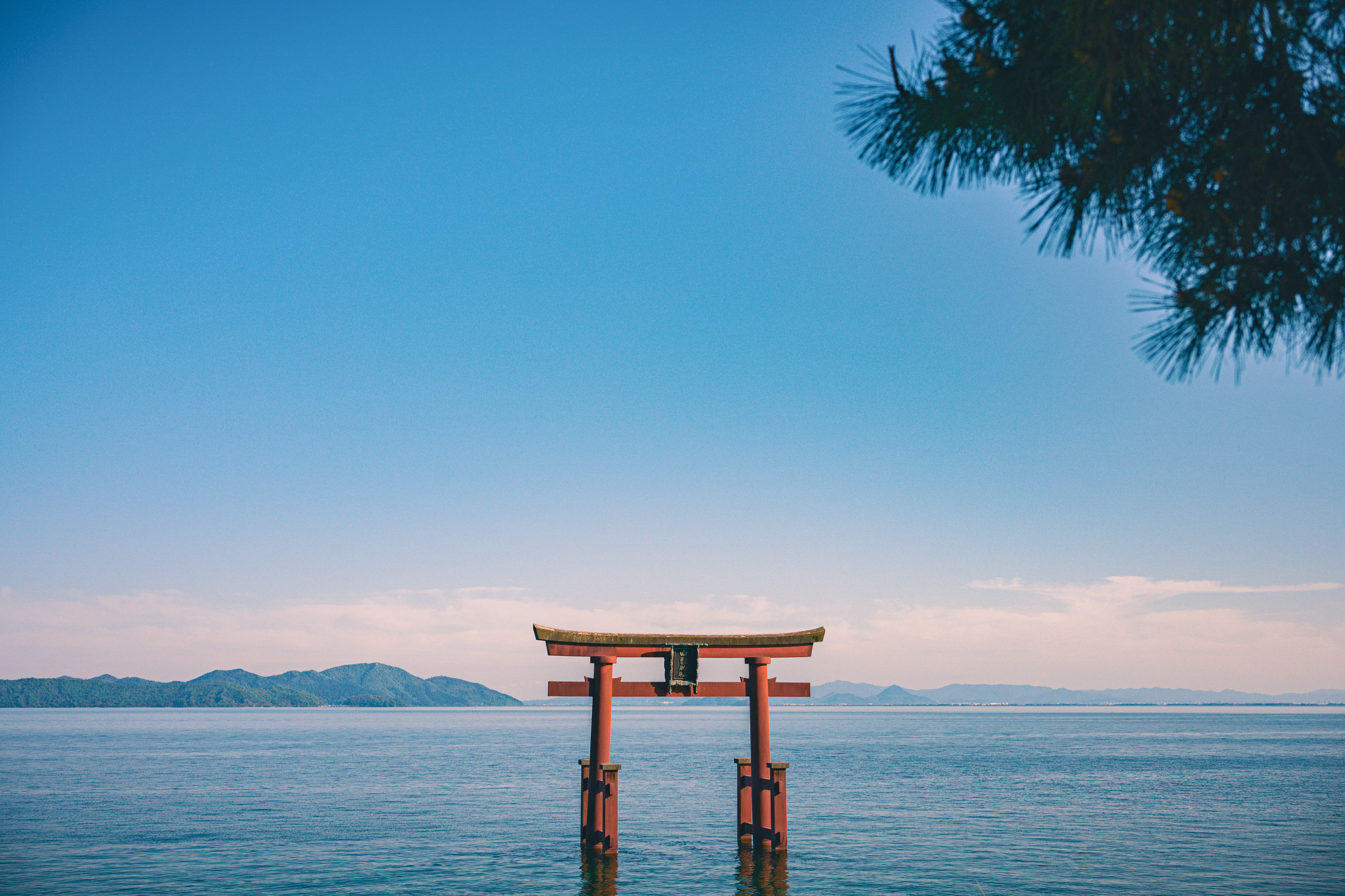 a tori tori floating in the middle of a body of water
