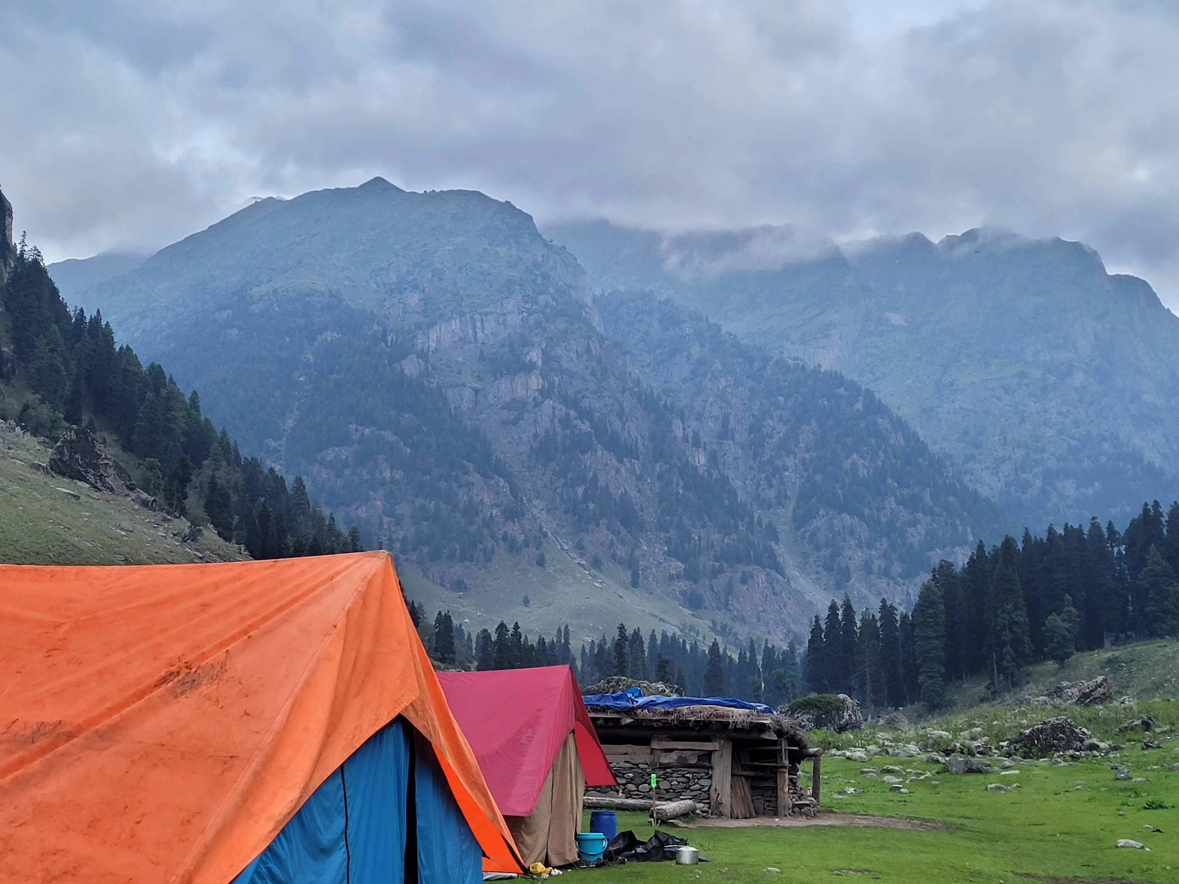 tents in a grassy area with mountains in the background