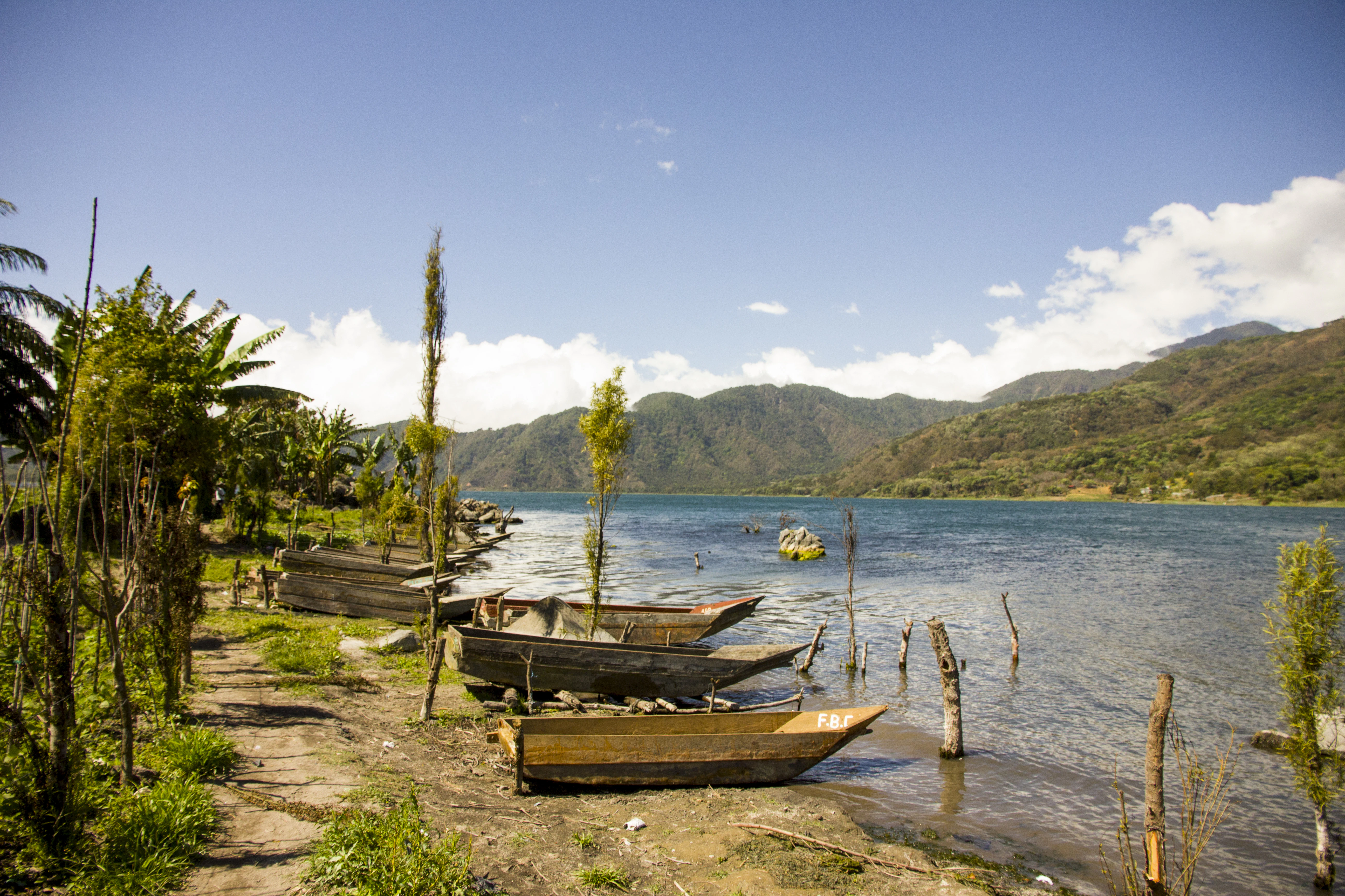 brown wooden boat on shore during daytime