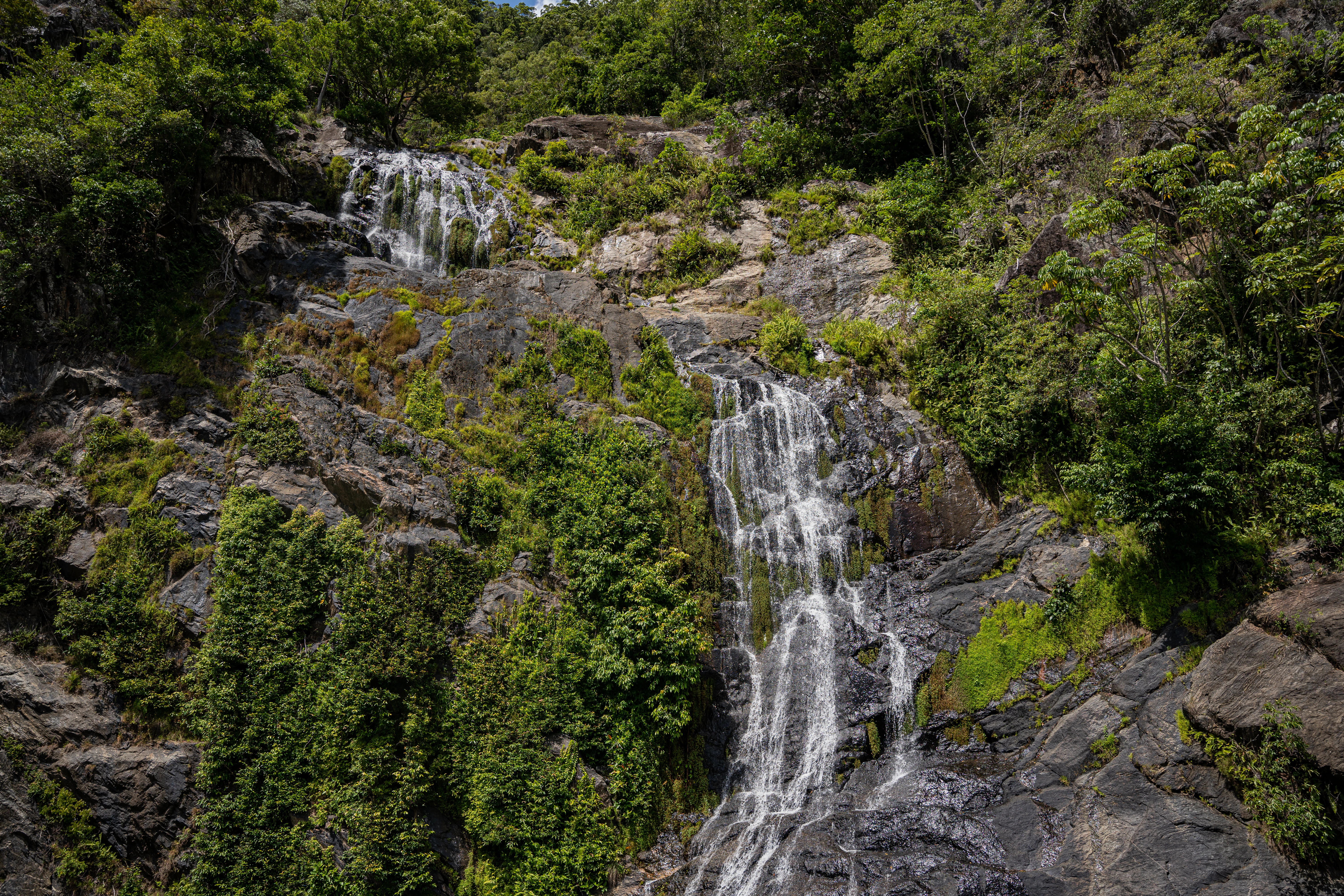 a waterfall in the middle of a lush green forest