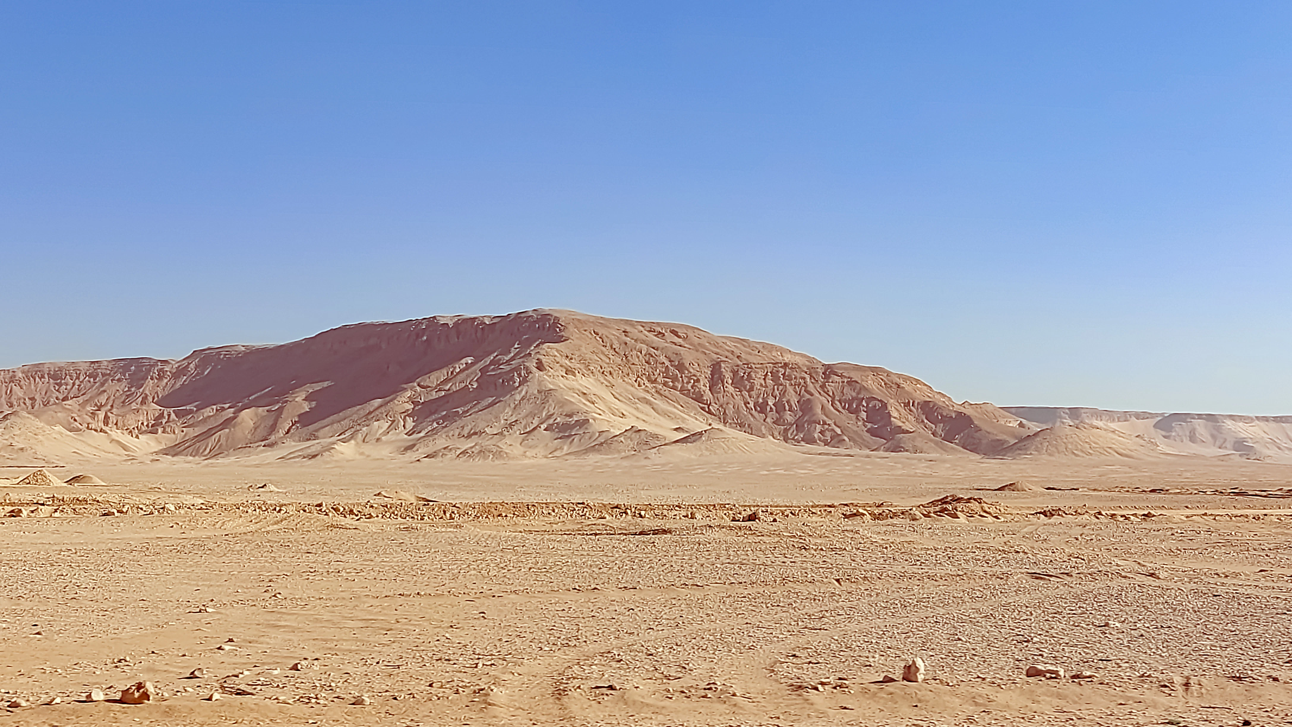 a desert landscape with a mountain in the background