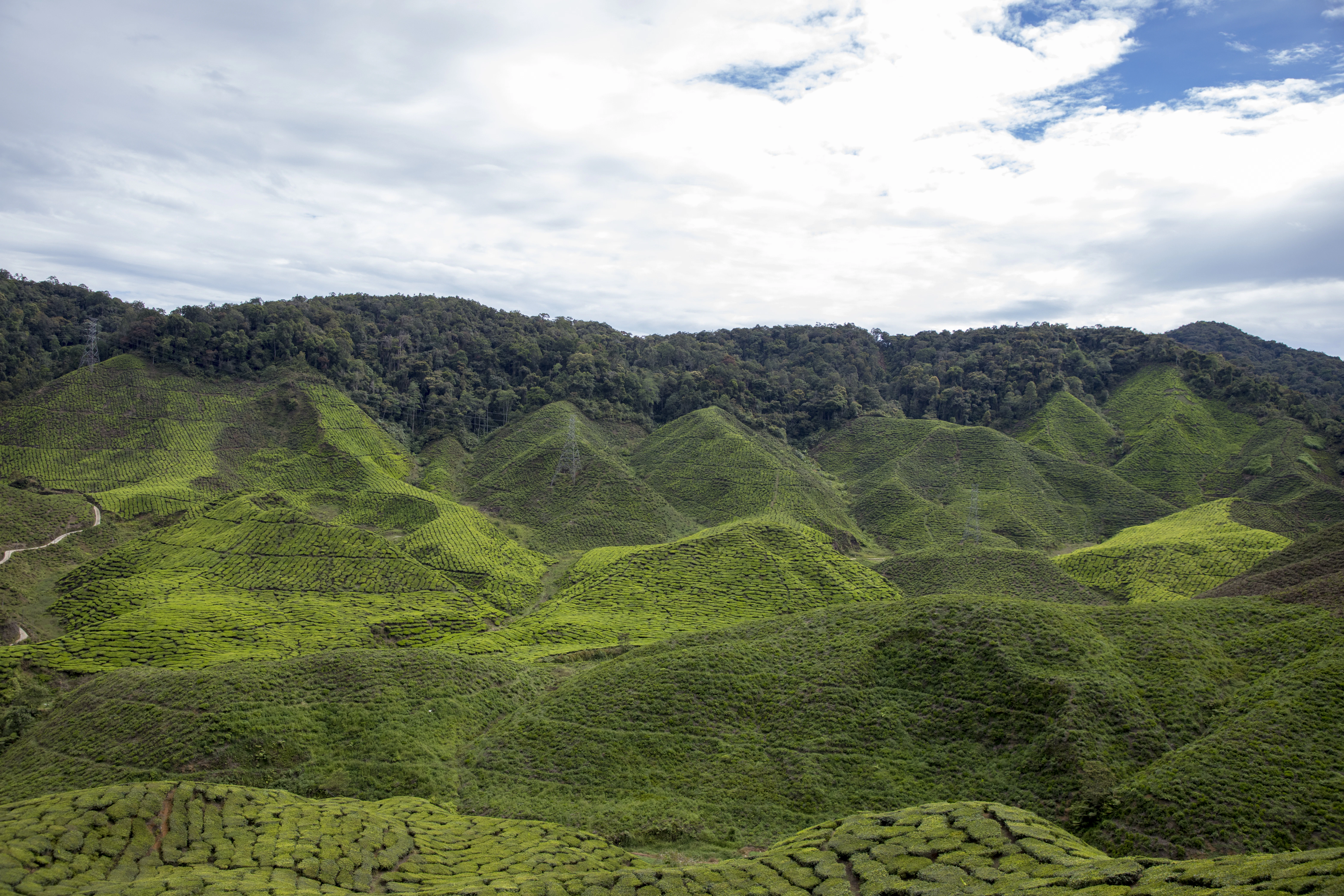 a landscape with hills and trees